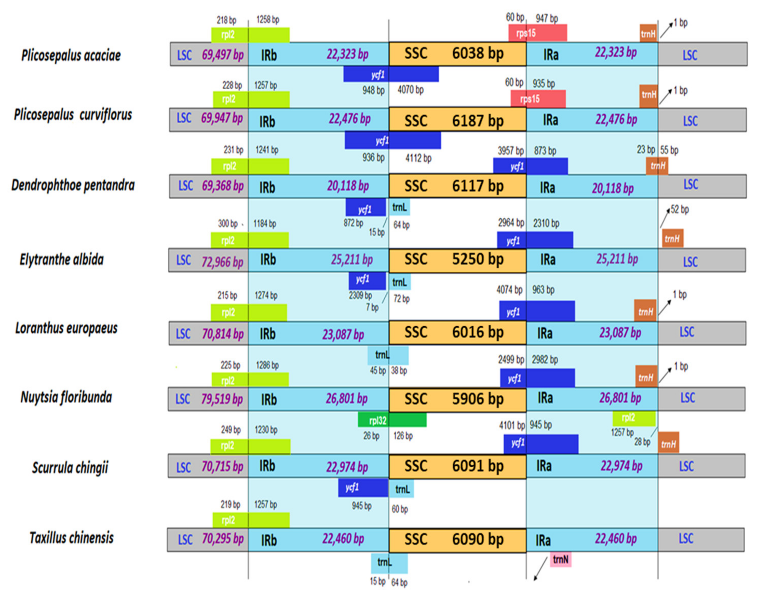 Plants 11 01869 g007 Plants 11 01869 g007