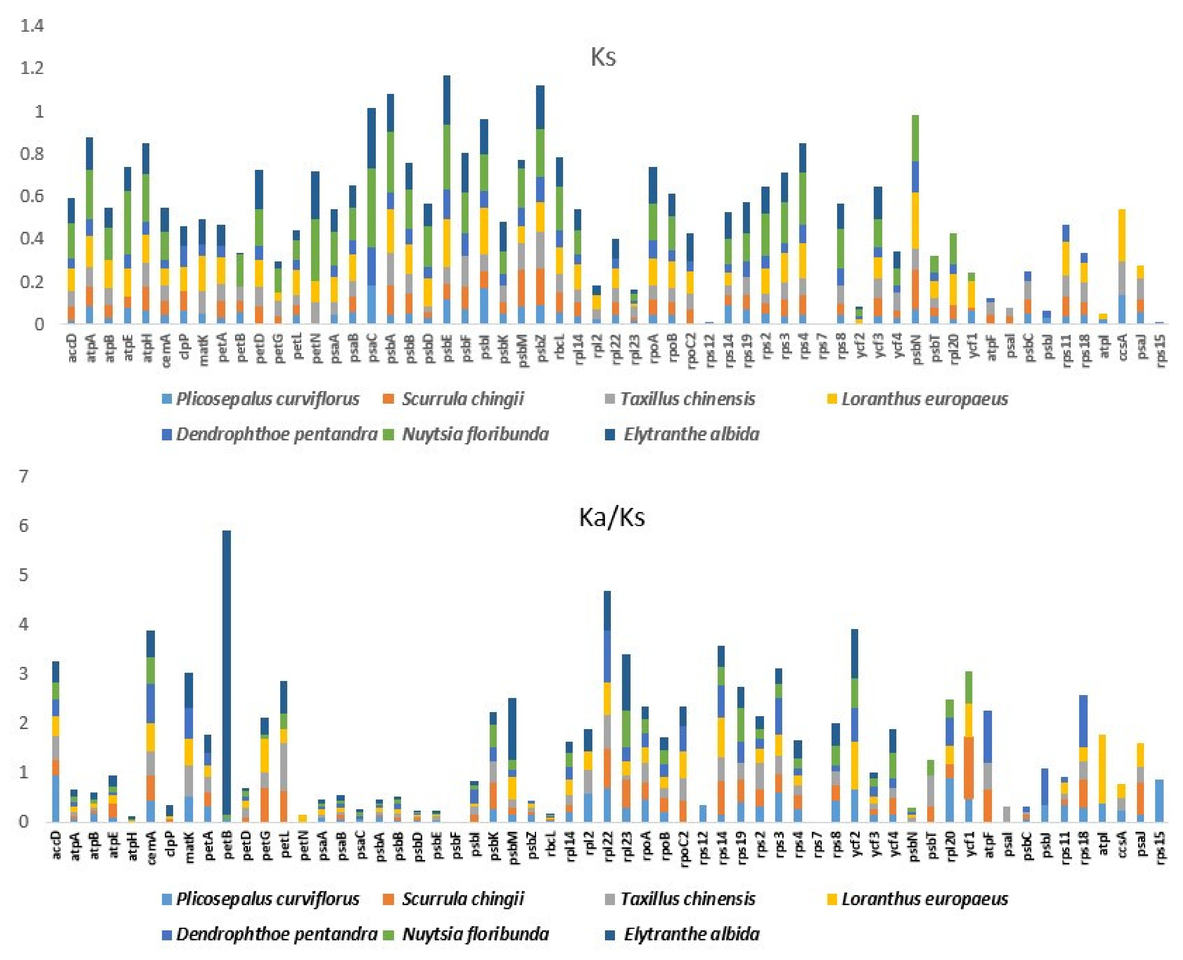 Plants 11 01869 g008 Plants 11 01869 g008