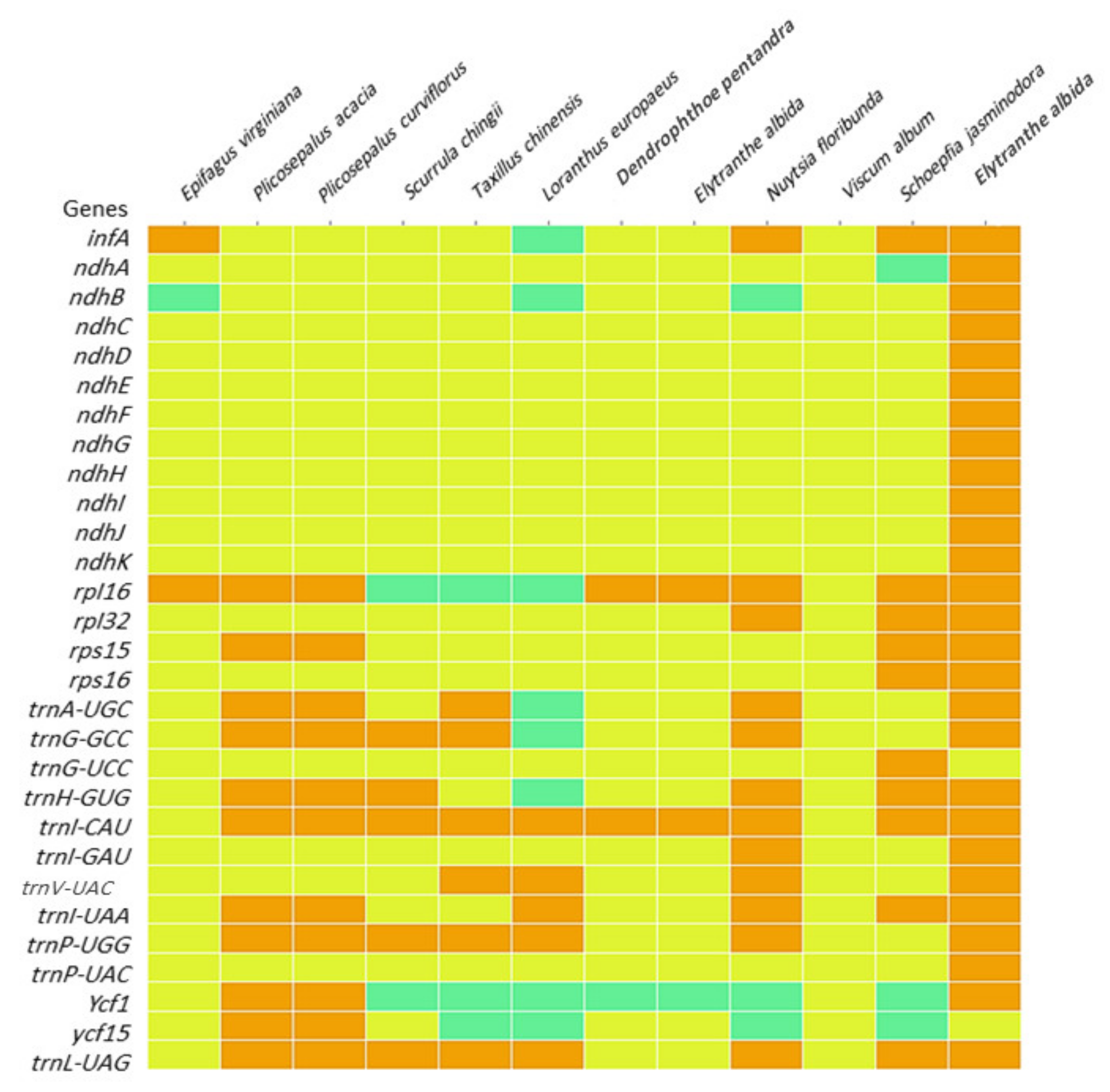 Plants 11 01869 g009 Plants 11 01869 g009