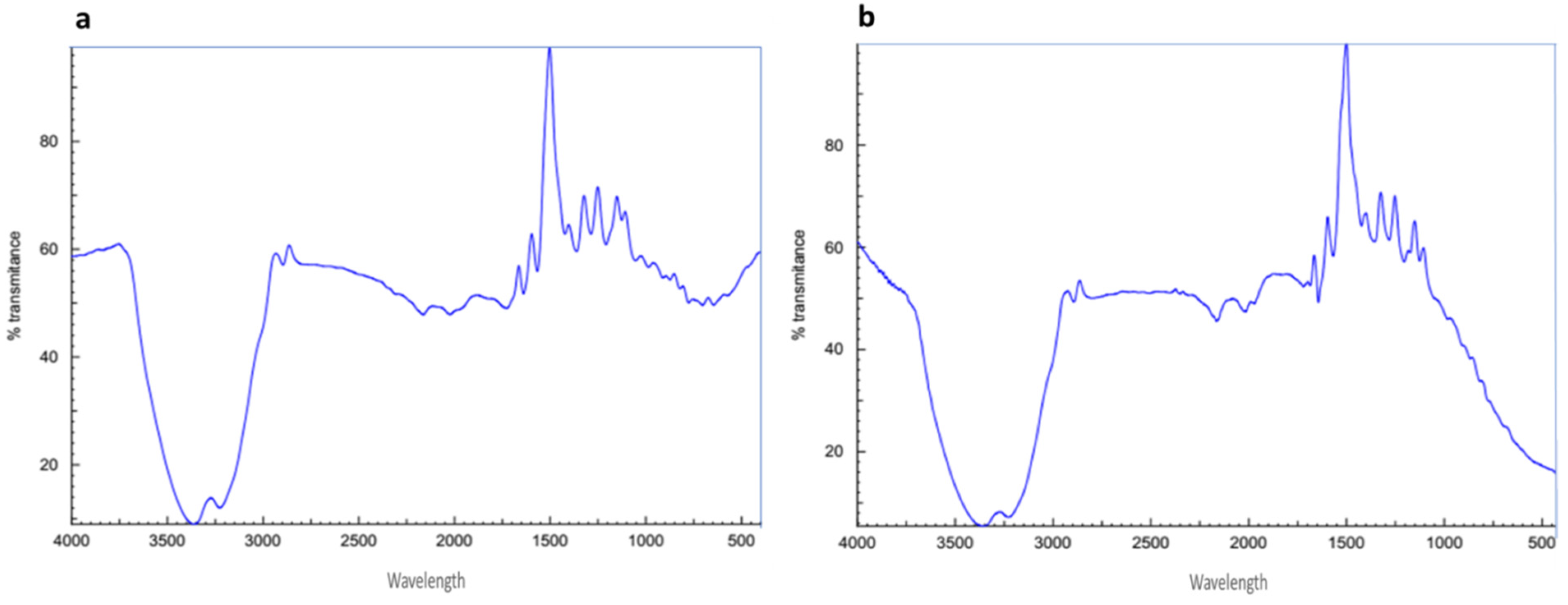 Plants 11 01871 g006 550