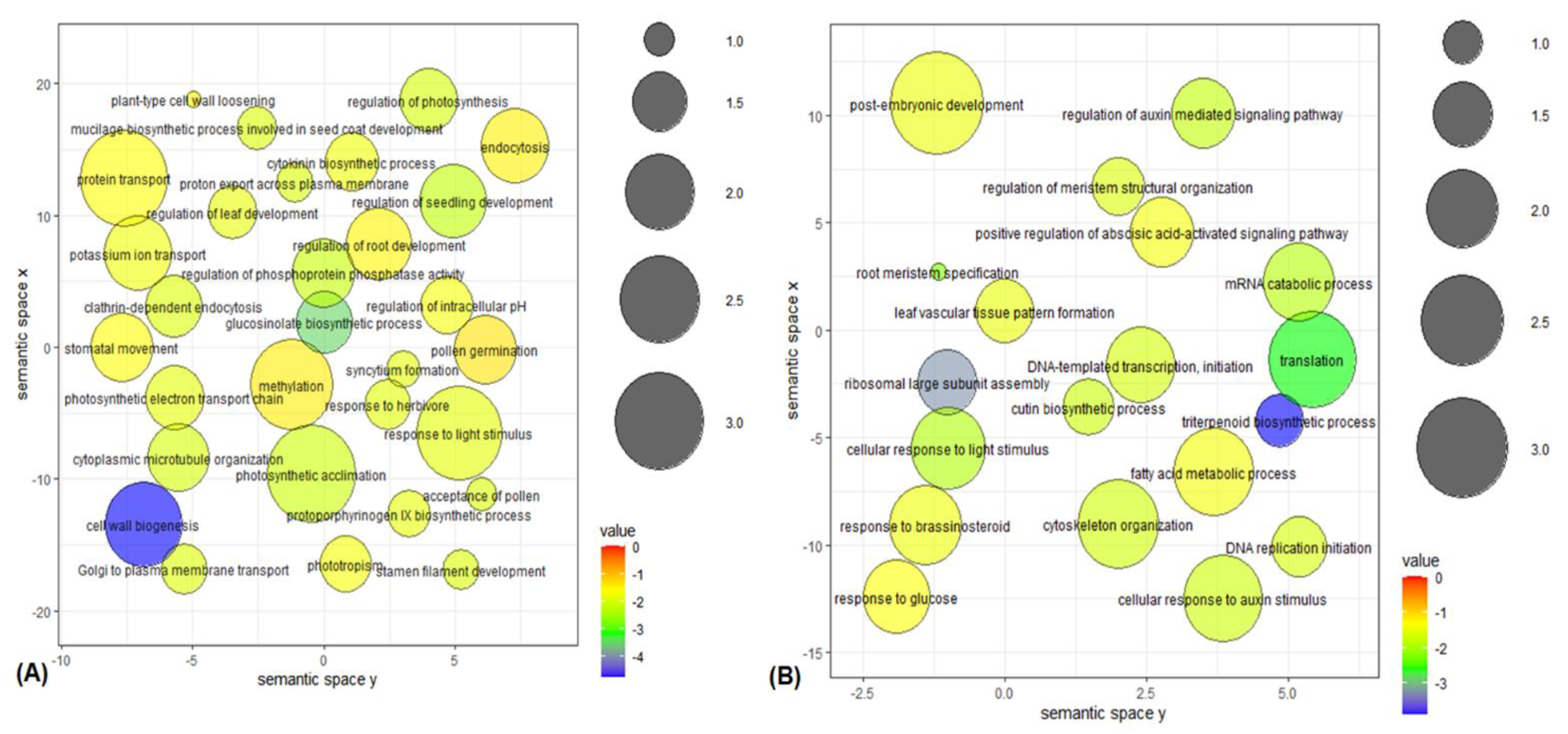 Plants 11 01873 g004