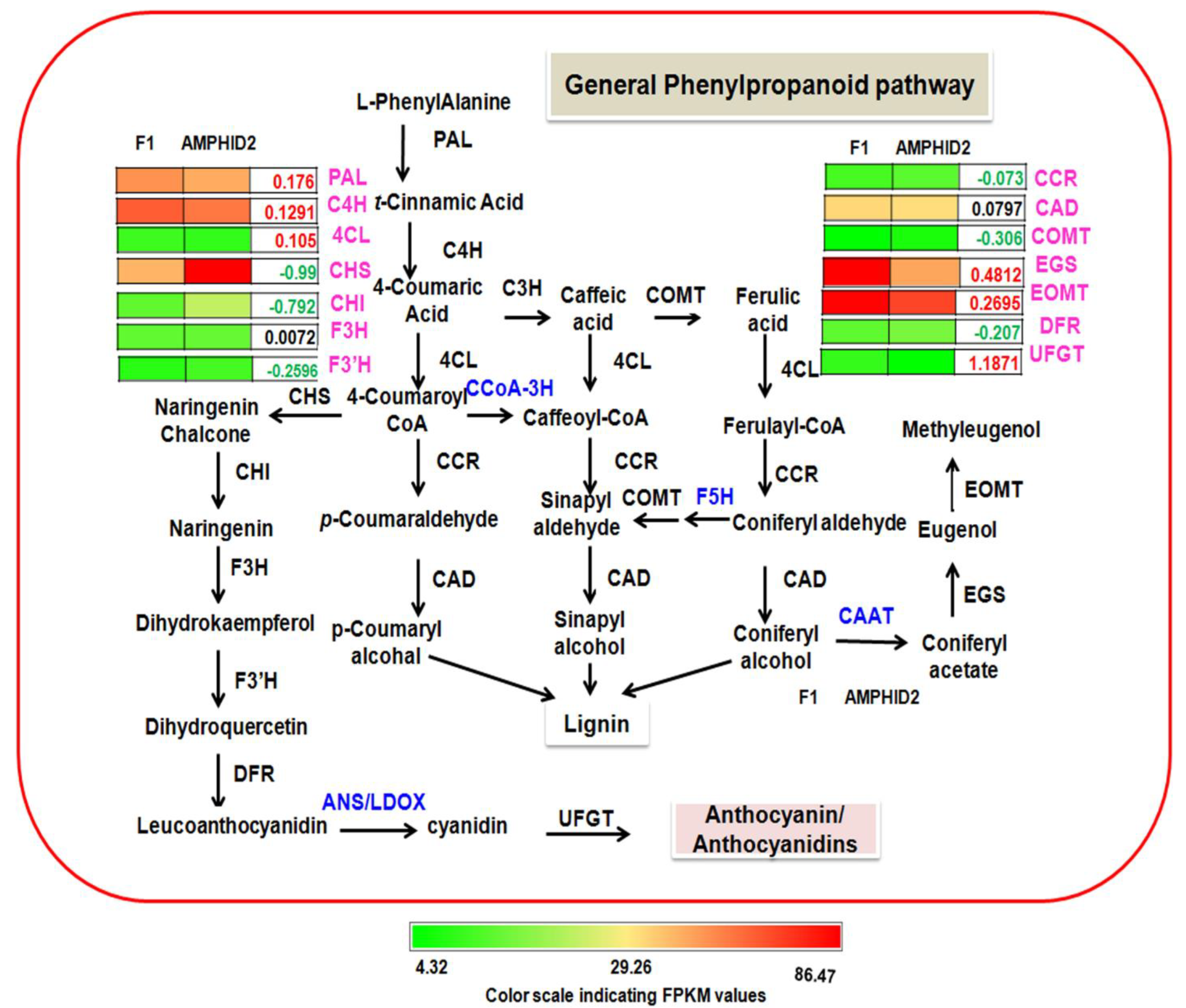 Plants 11 01873 g007