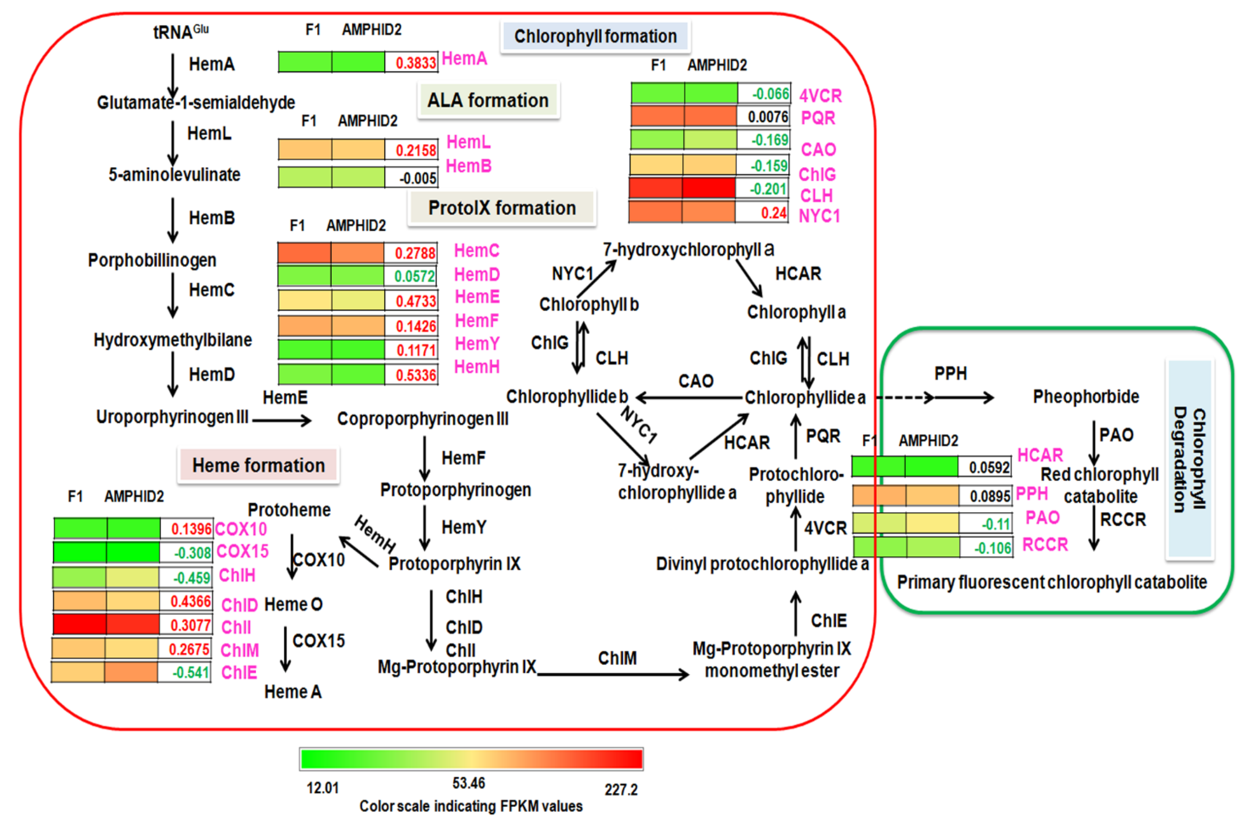 Plants 11 01873 g009
