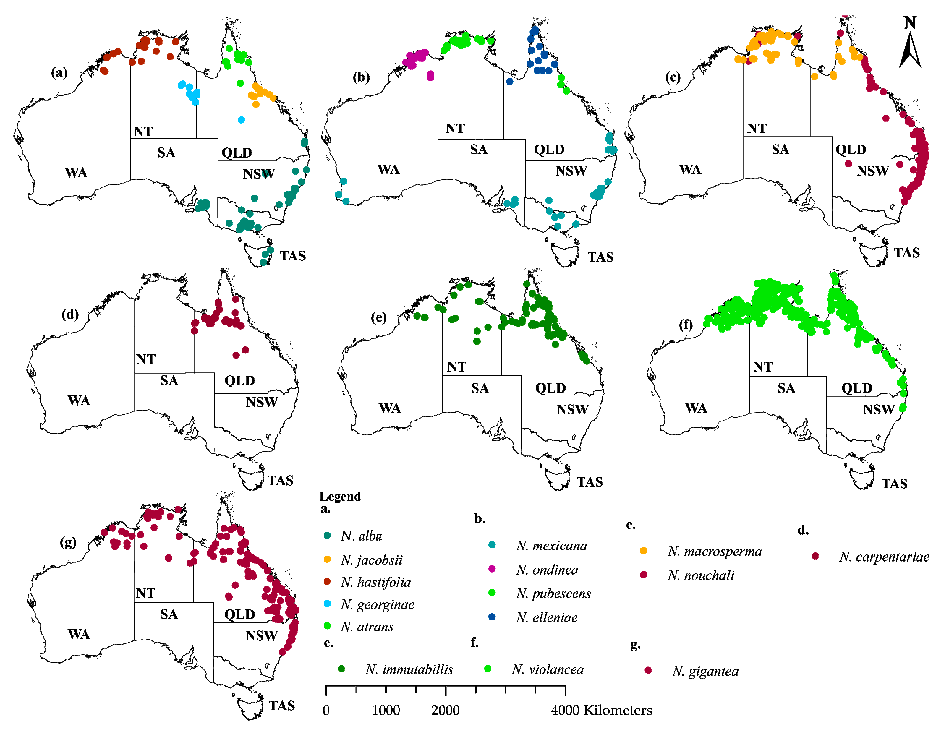 Plants 11 01874 g004 Plants 11 01874 g004