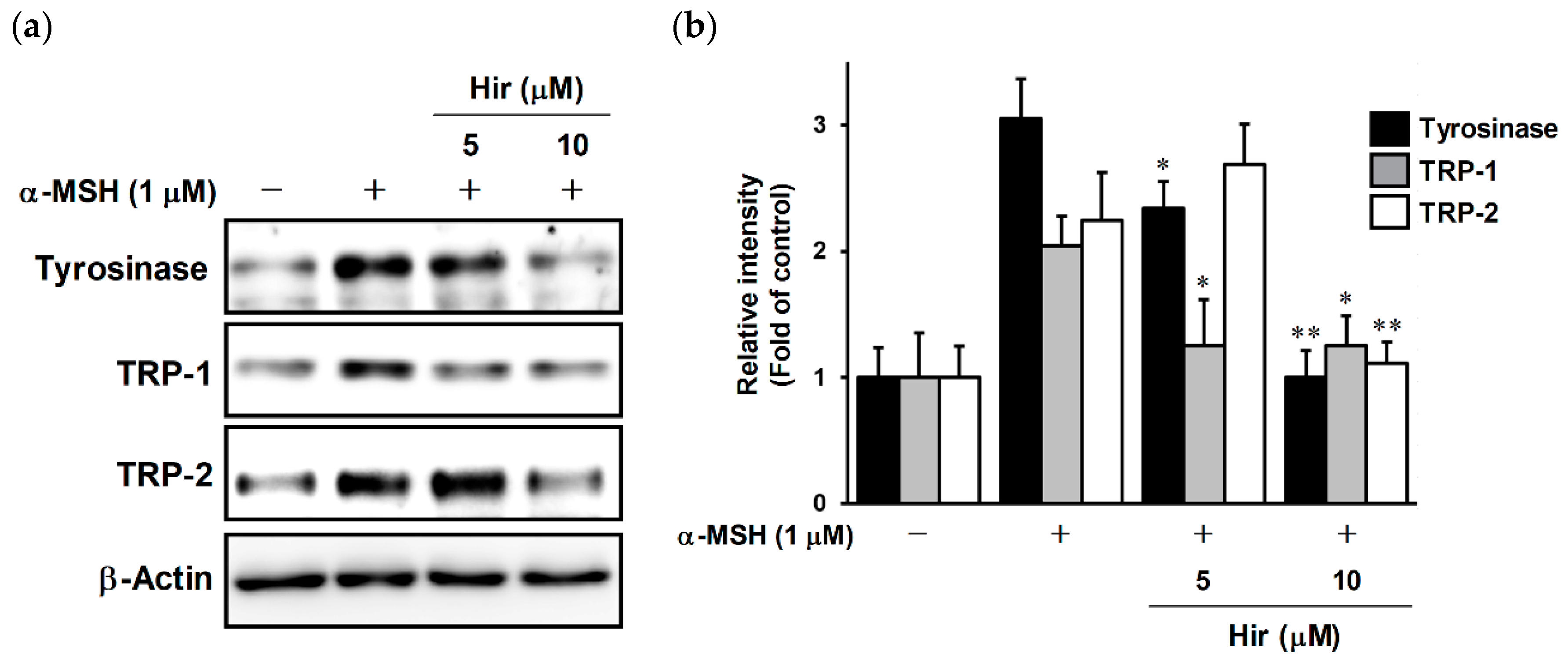 Plants 11 01875 g005 Plants 11 01875 g005