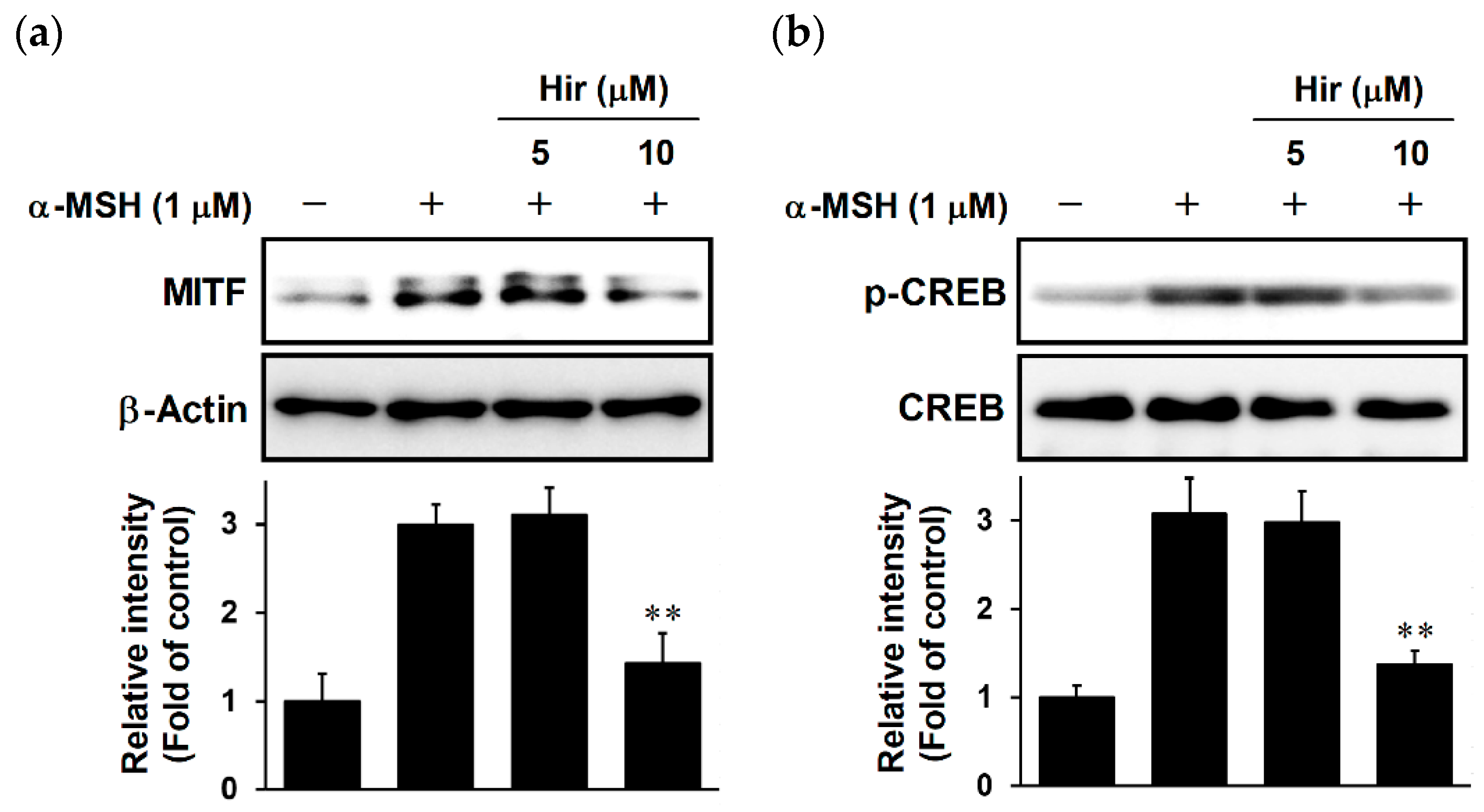 Plants 11 01875 g006 Plants 11 01875 g006