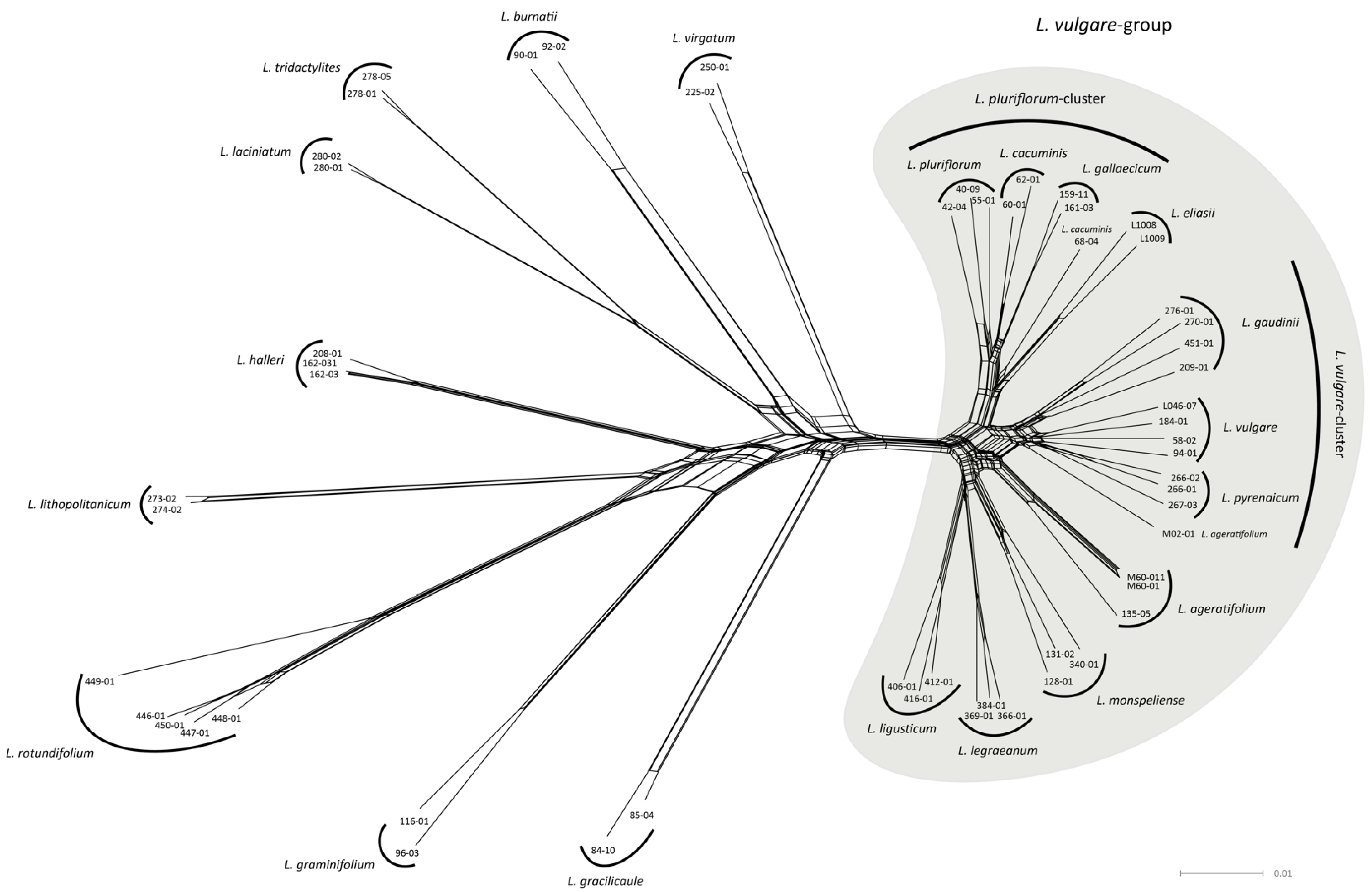 Plants 11 01878 g001 550