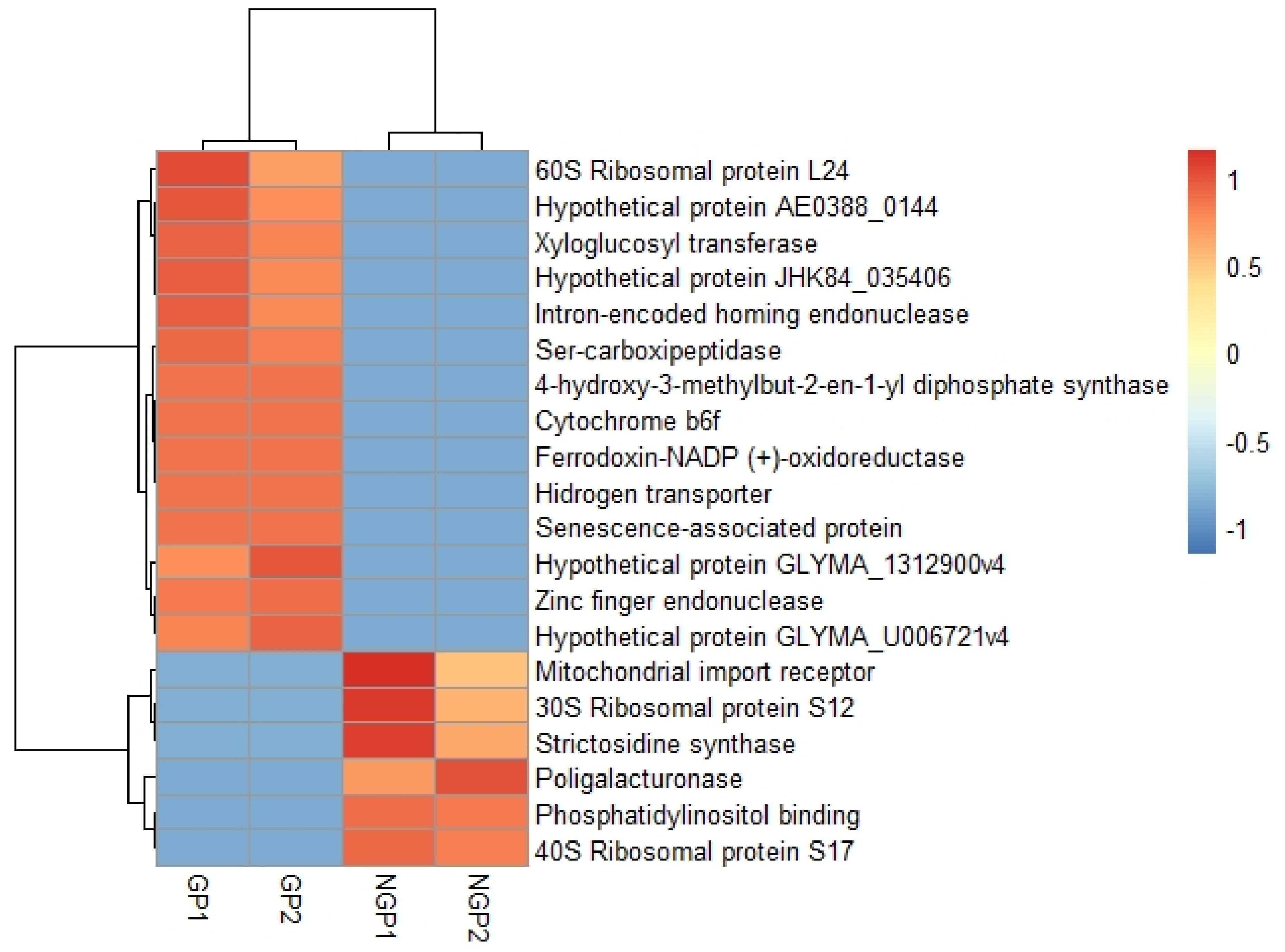 Plants 11 01879 g004 550