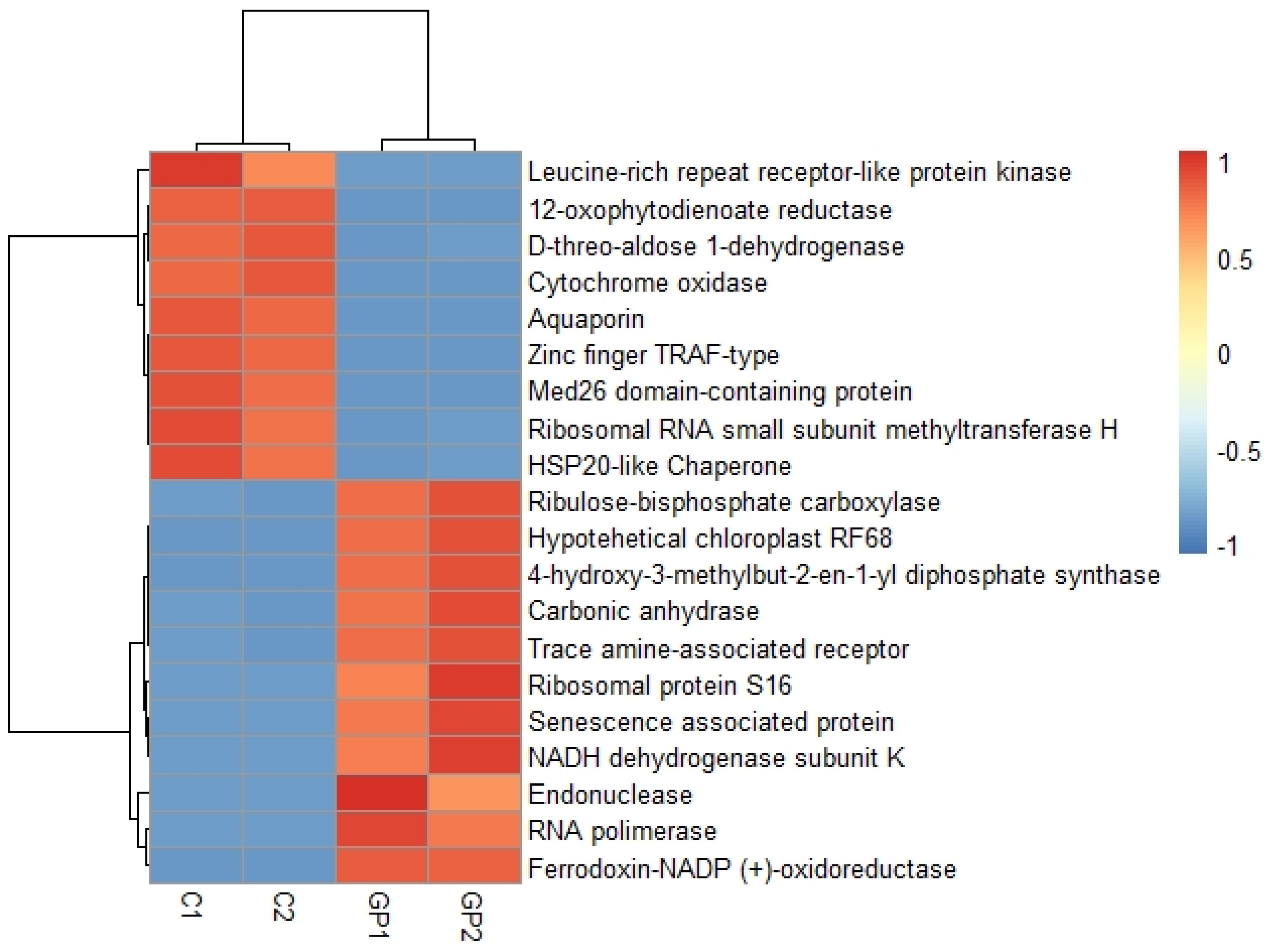 Plants 11 01879 g005 550