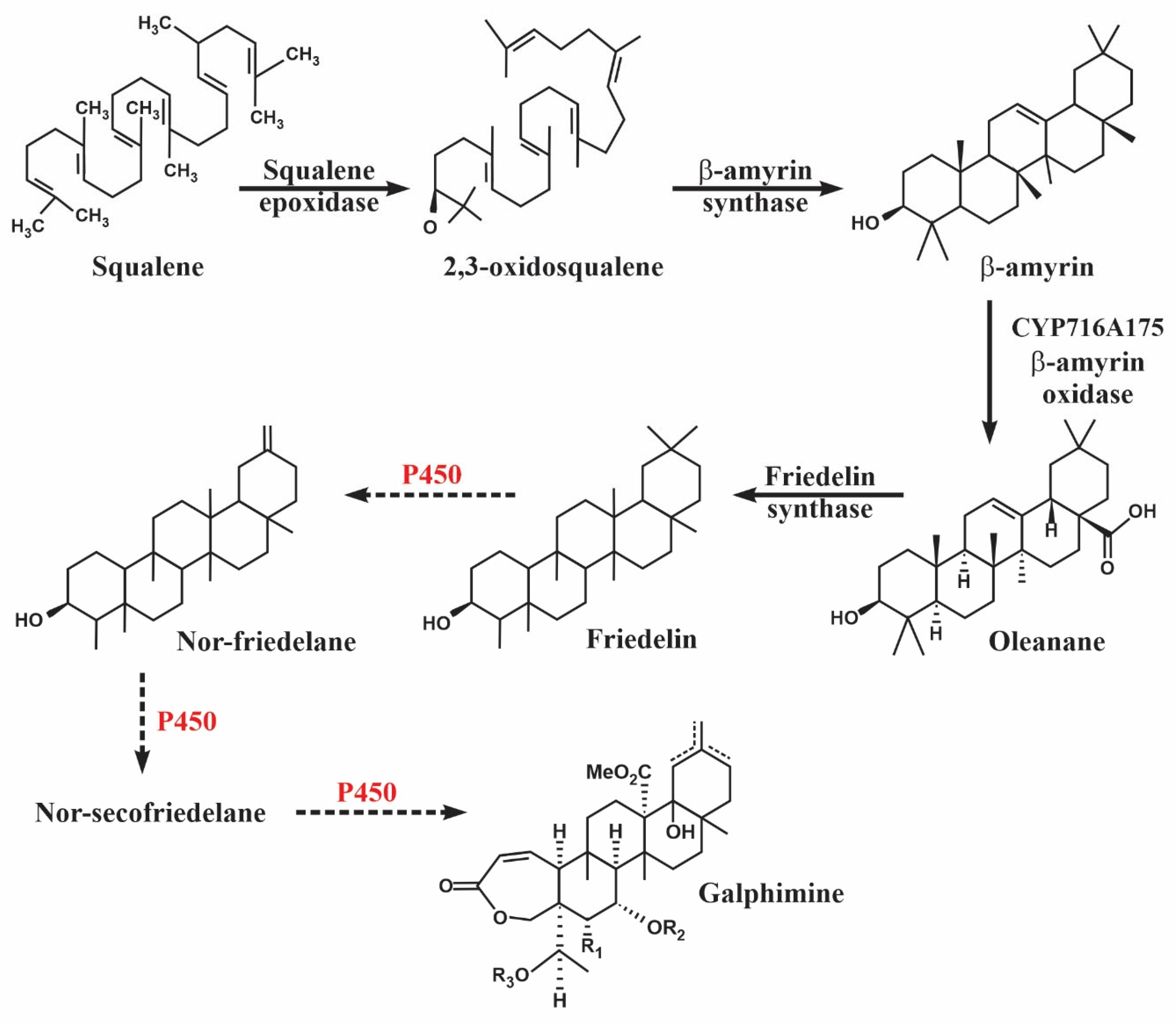 Plants 11 01879 g009 550