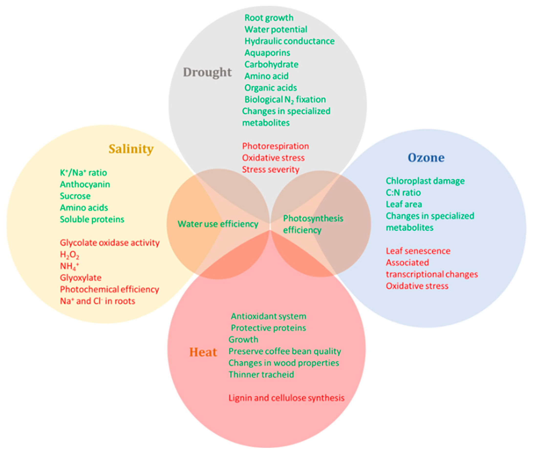 Plants 11 01880 g001 Plants 11 01880 g001
