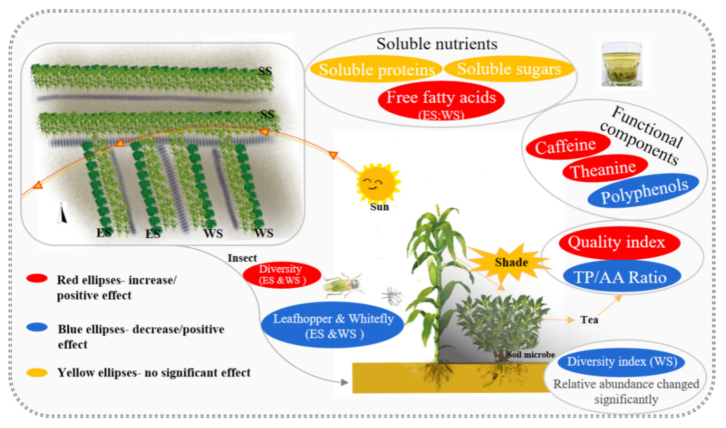 Plants 11 01883 g009