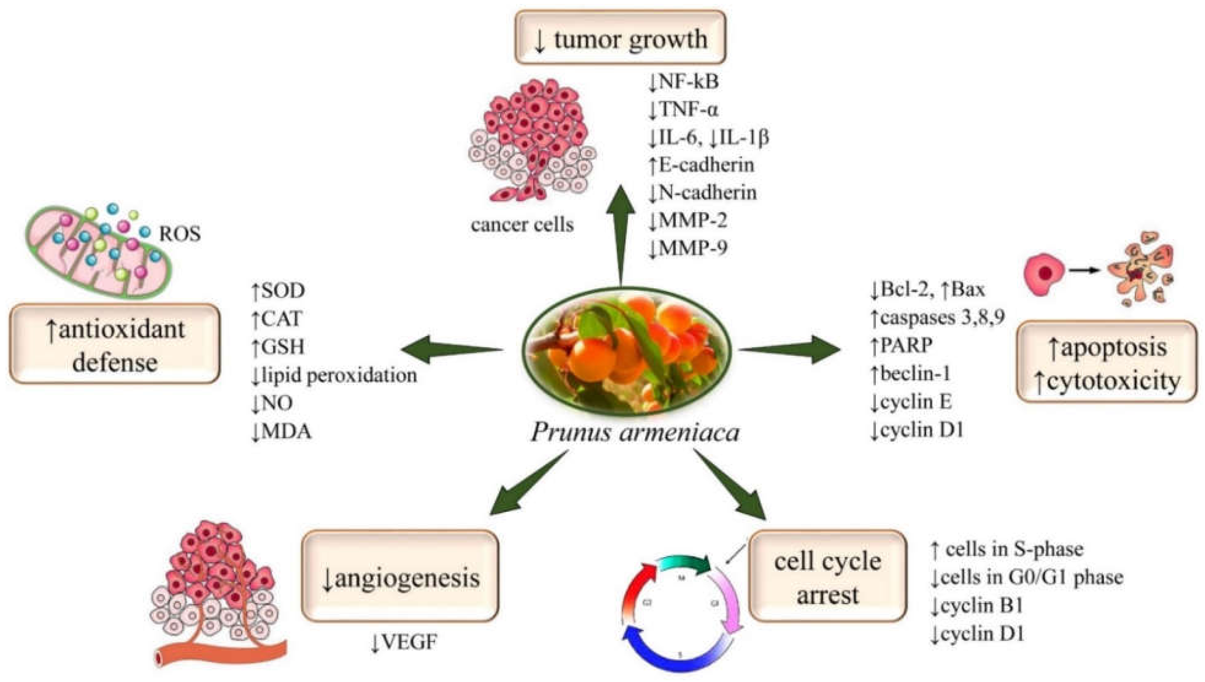 Plants 11 01885 g002