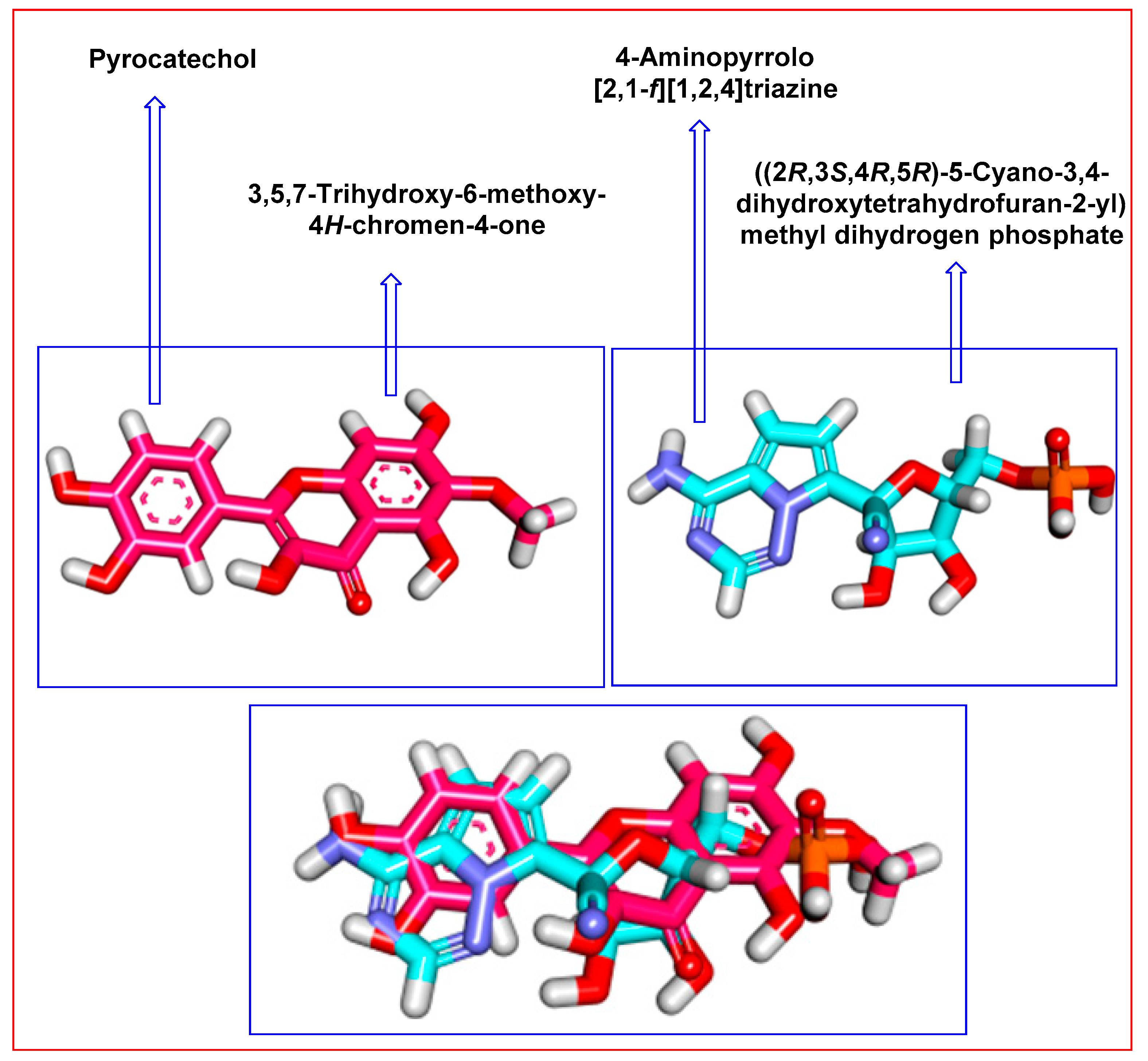 Plants 11 01886 g004