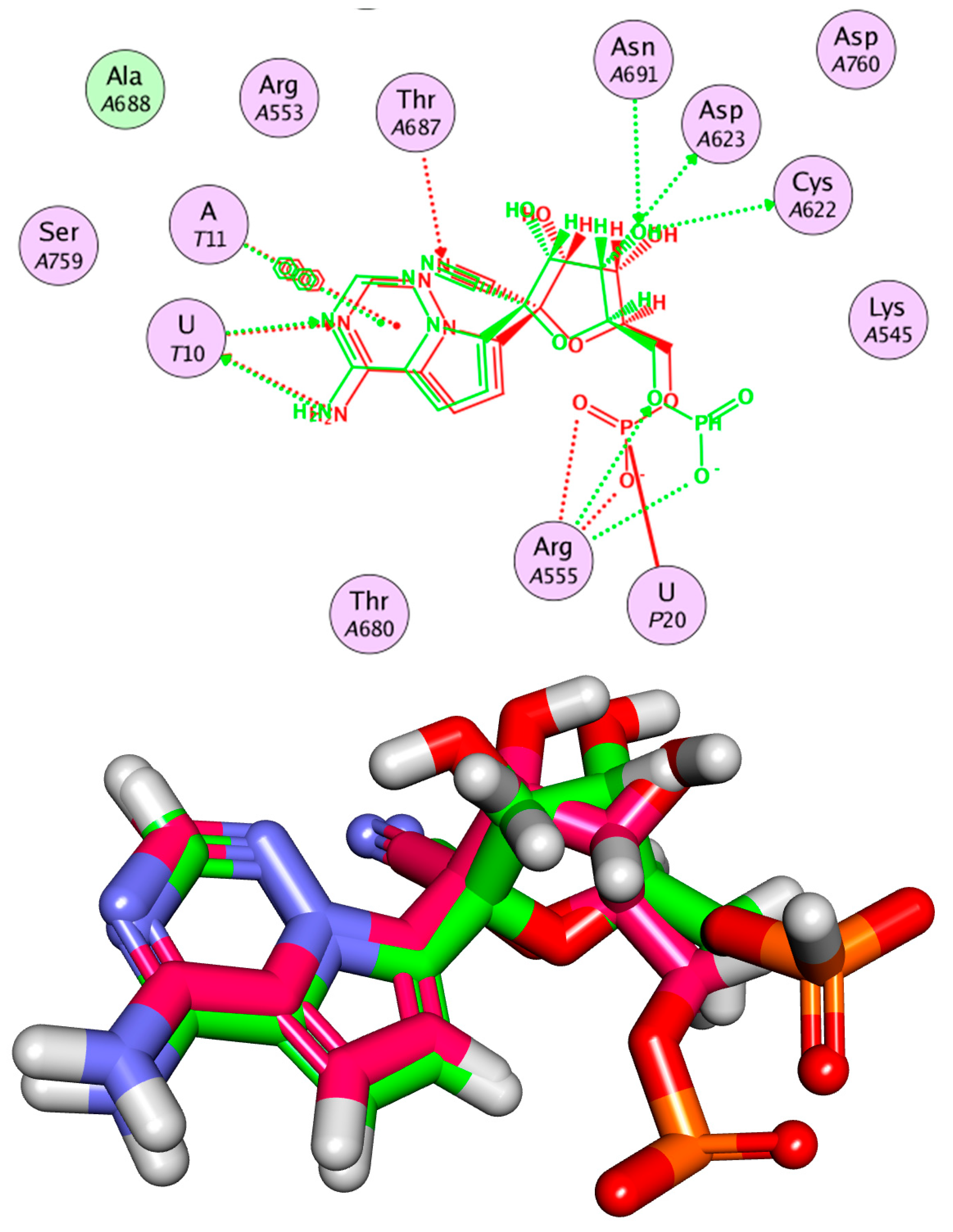 Plants 11 01886 g005