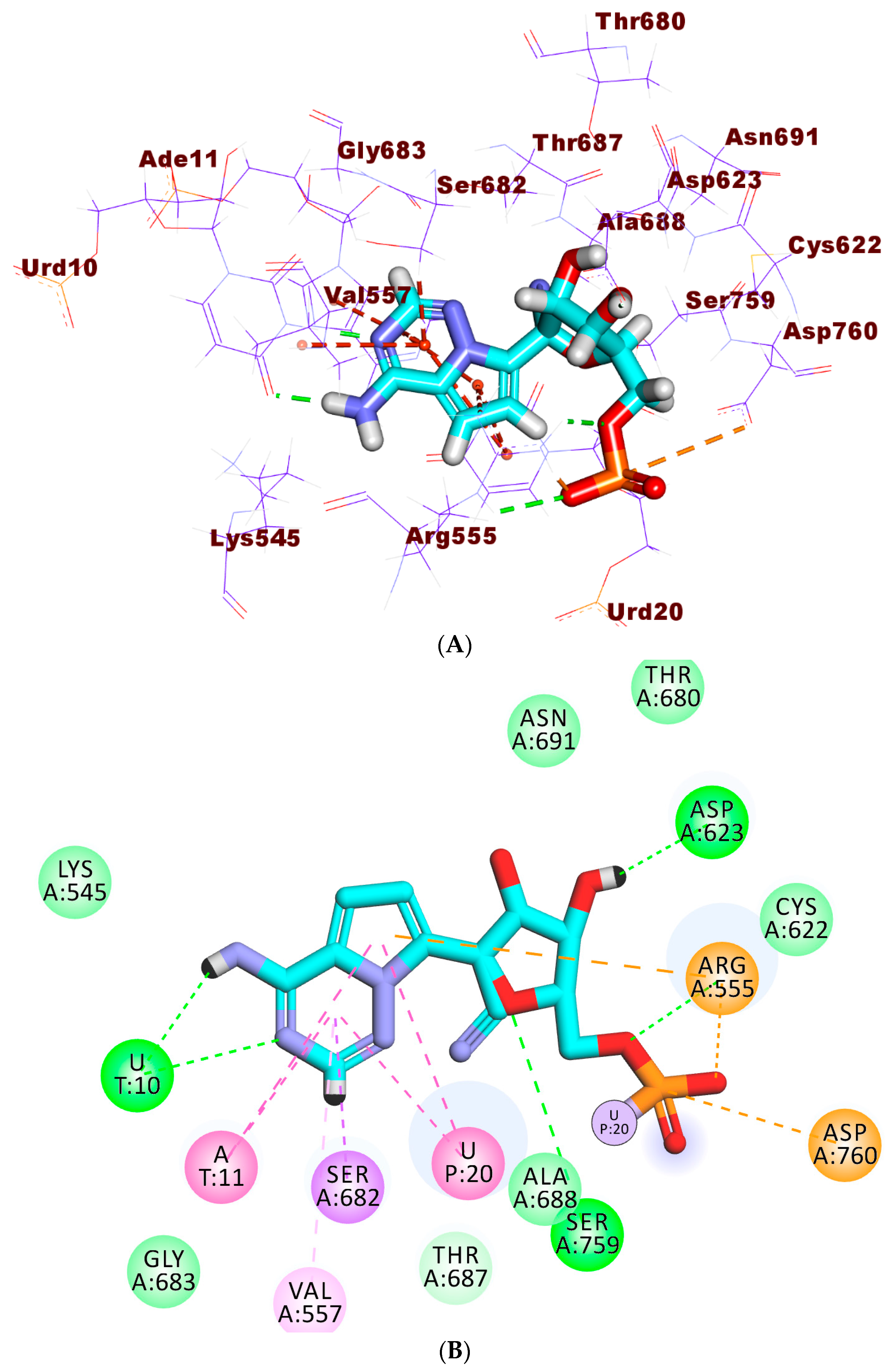 Plants 11 01886 g006a