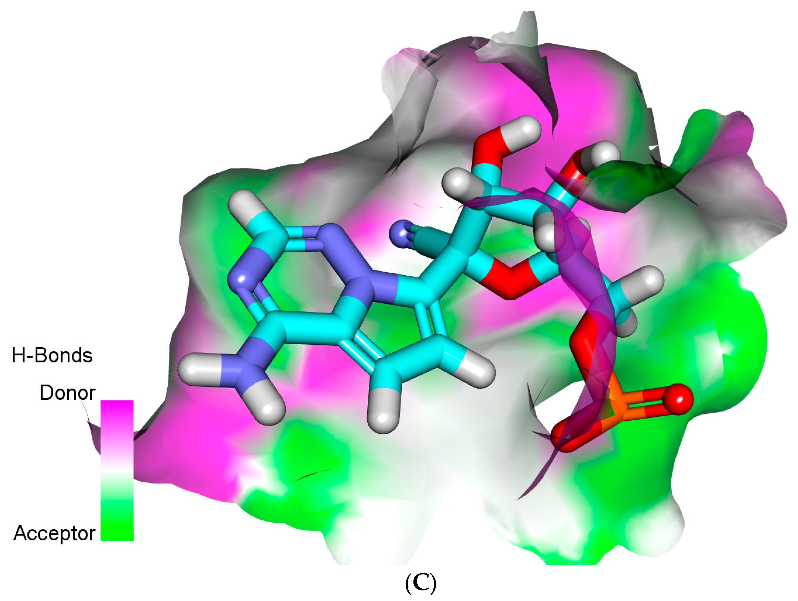 Plants 11 01886 g006b
