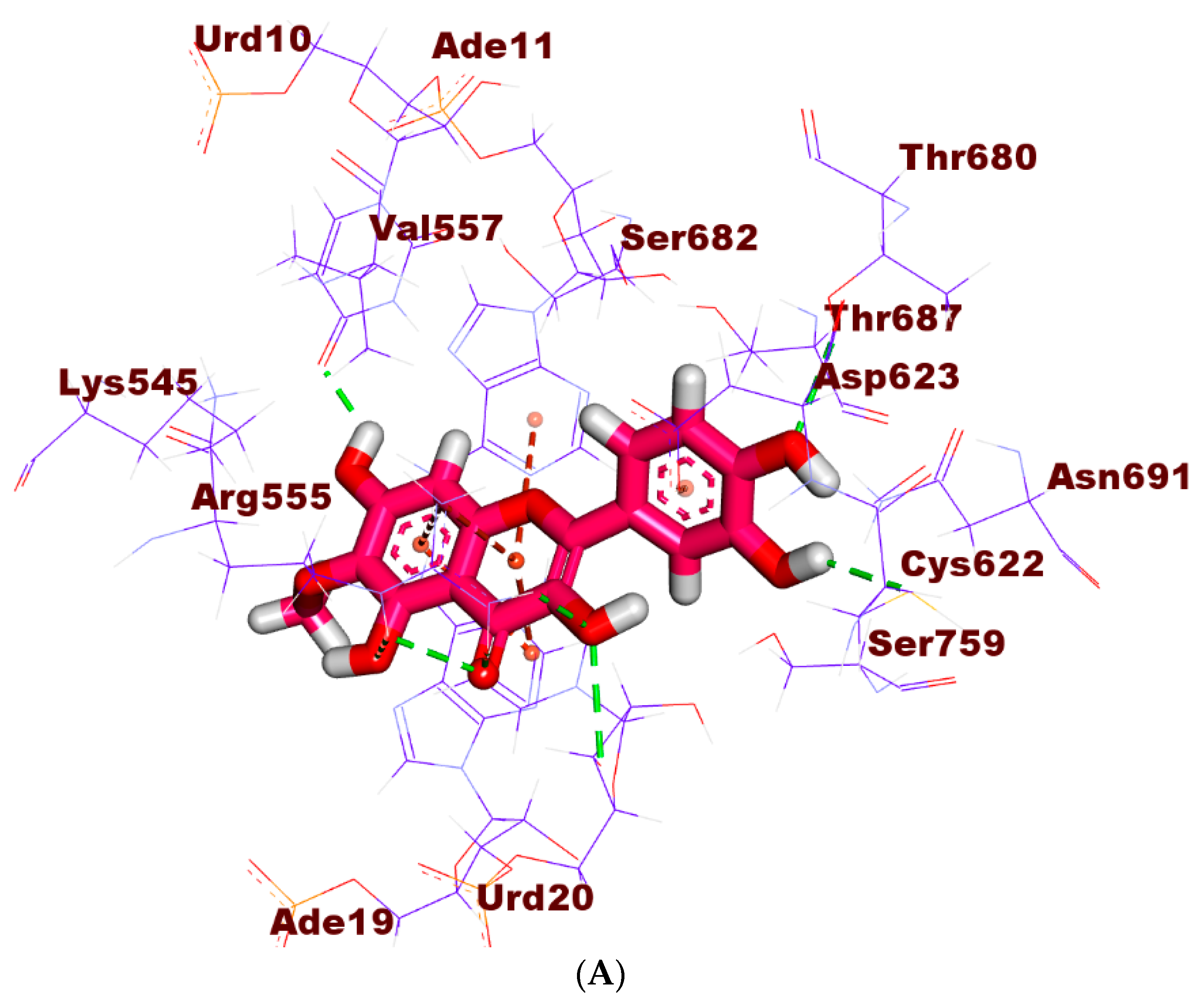 Plants 11 01886 g007a