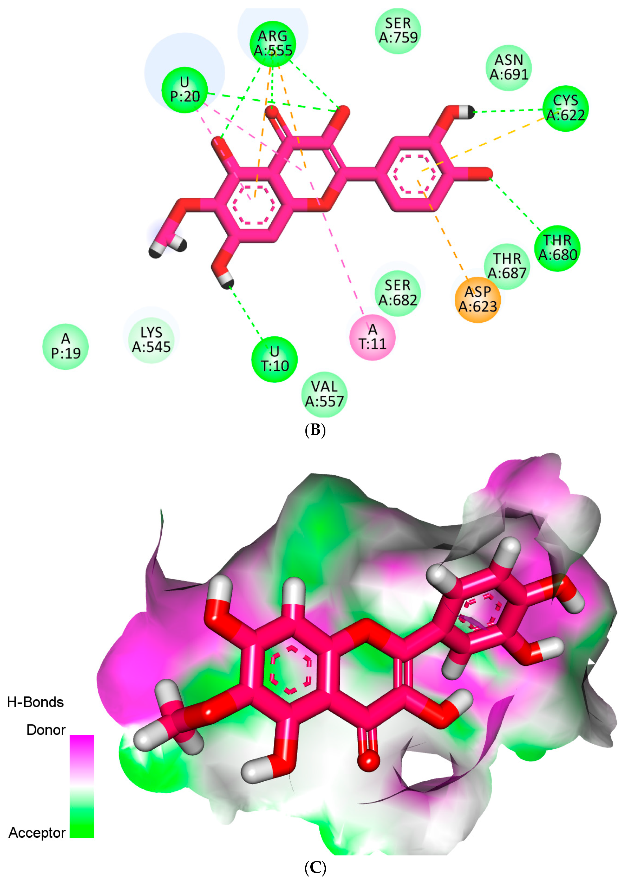 Plants 11 01886 g007b