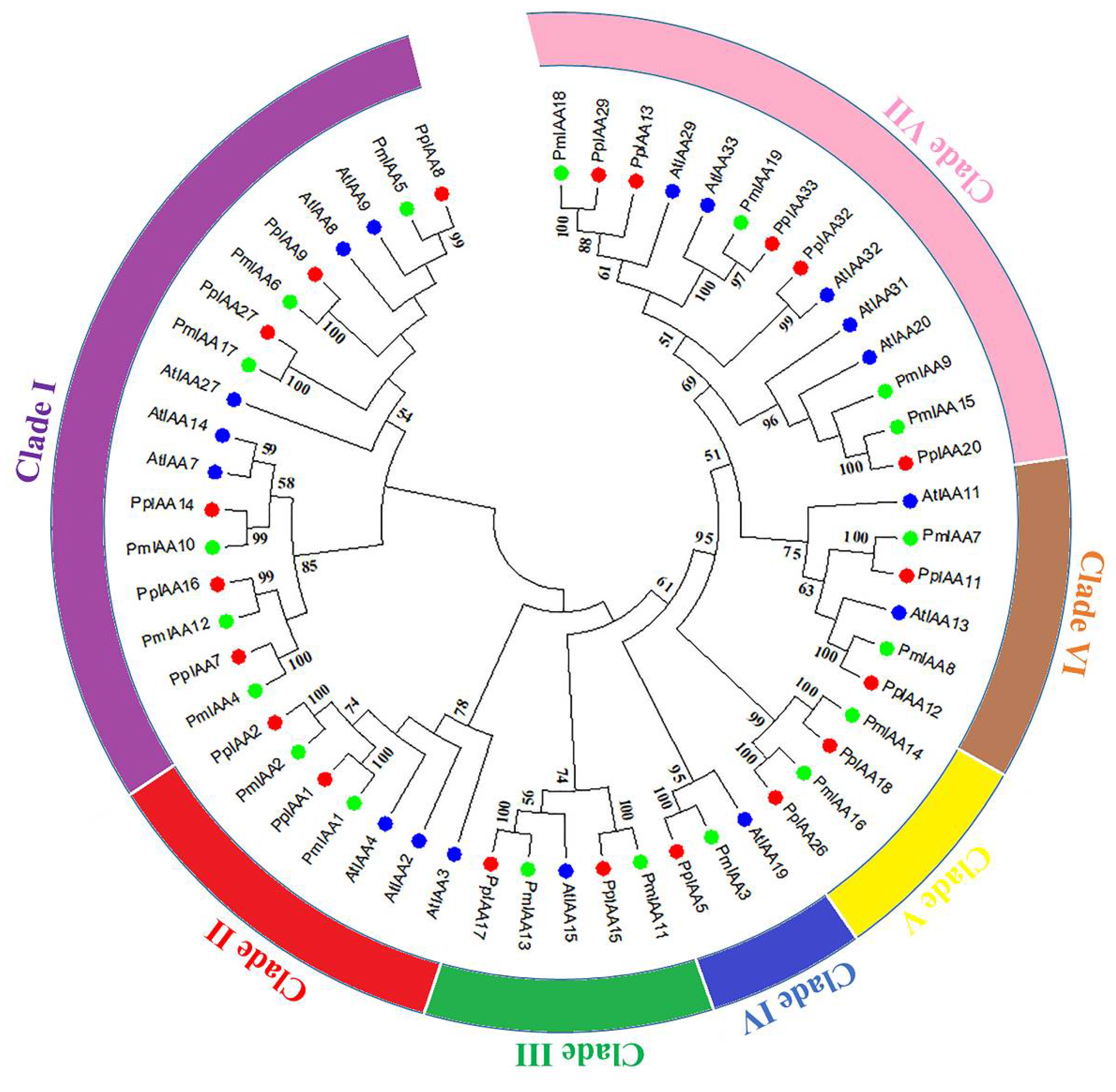 Plants 11 01898 g001