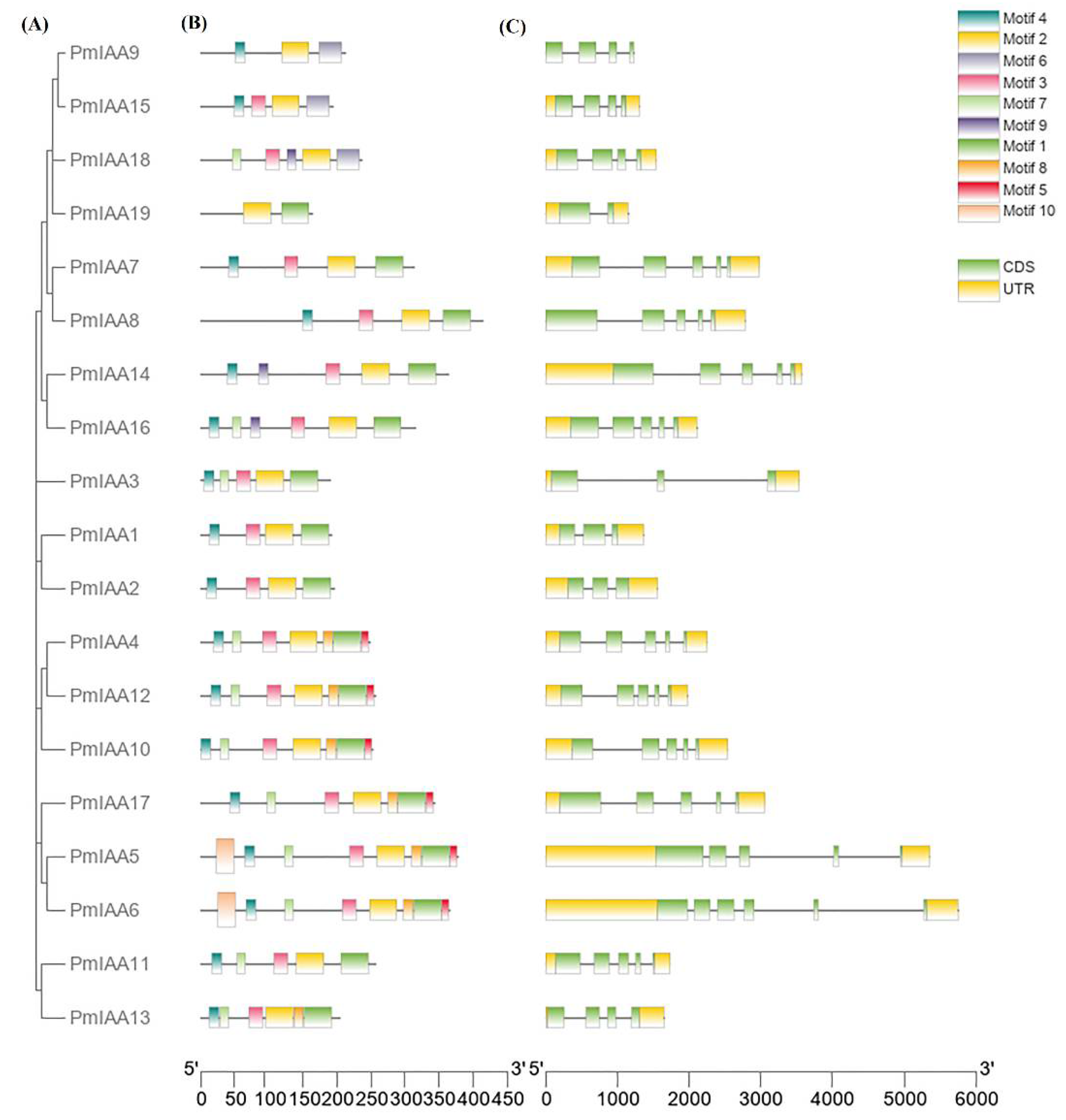Plants 11 01898 g002