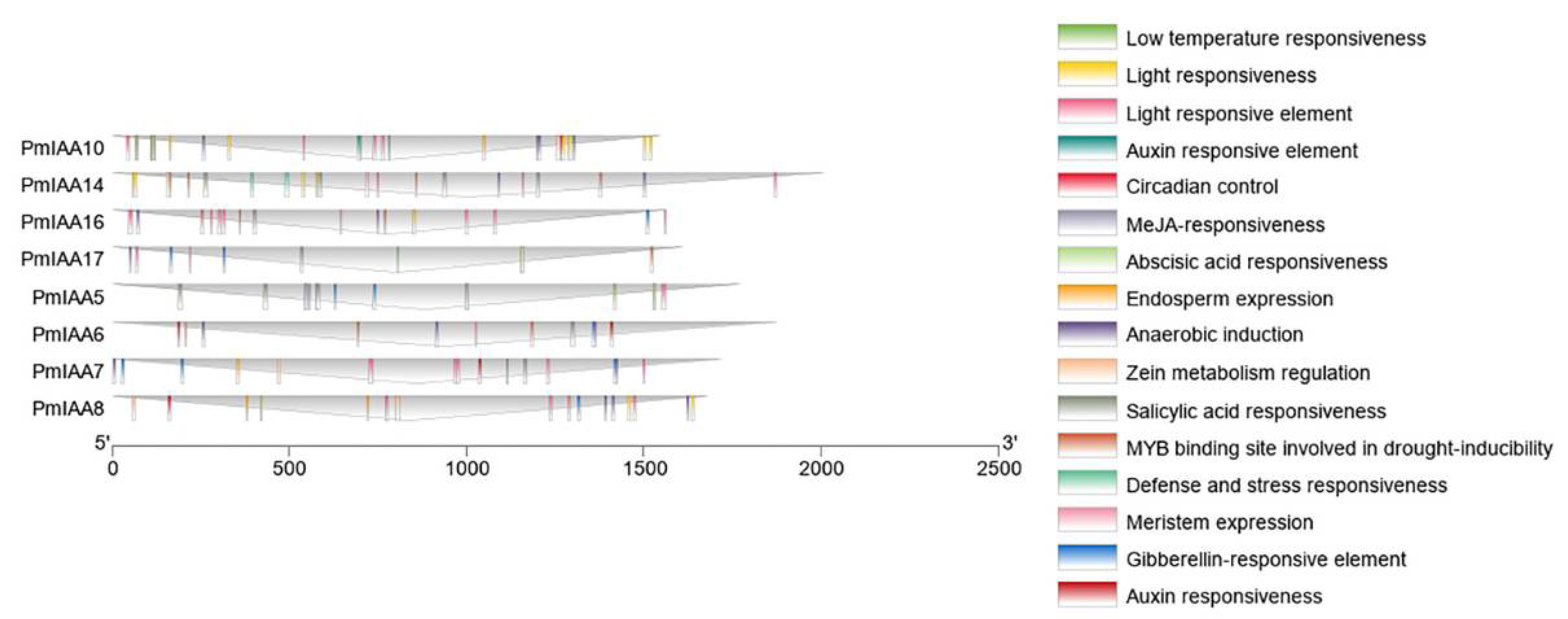 Plants 11 01898 g003