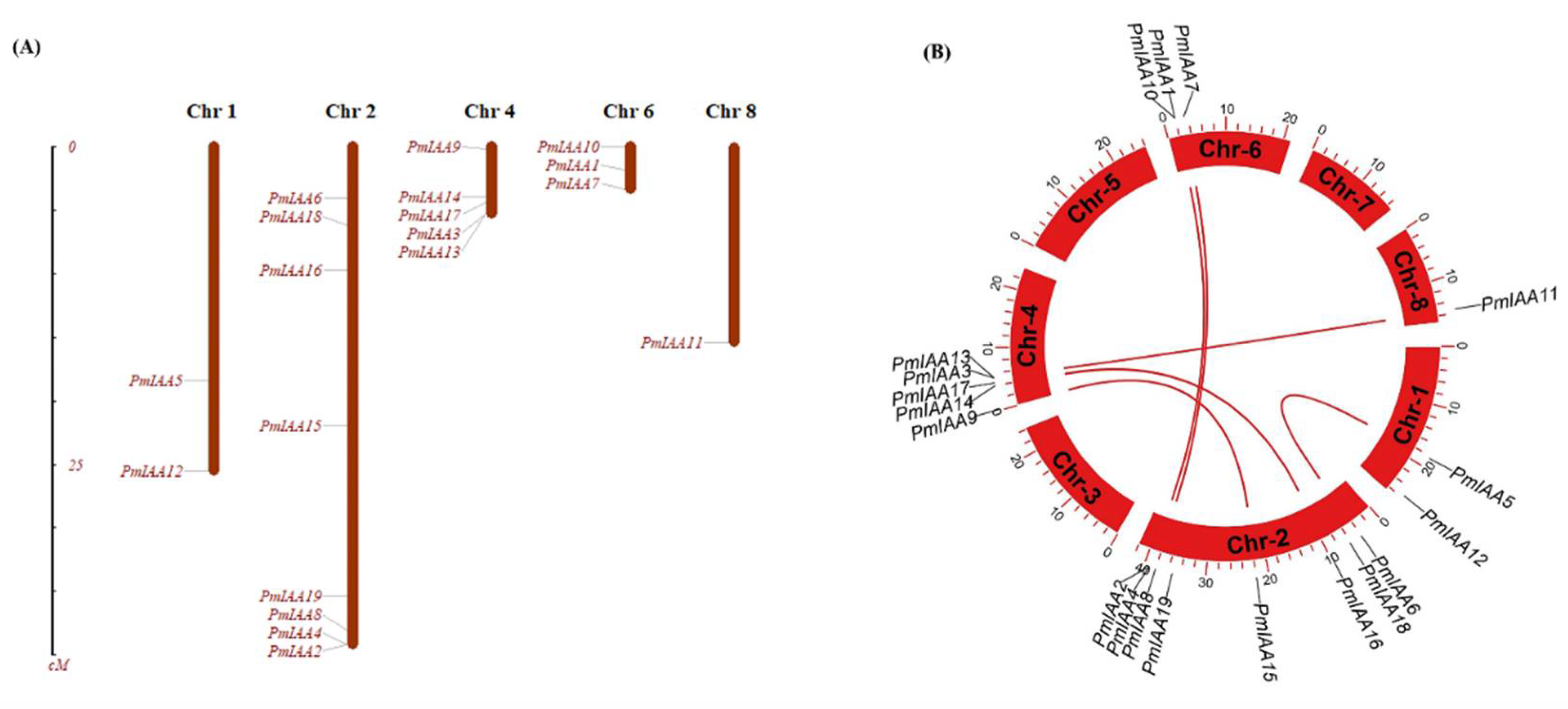 Plants 11 01898 g004