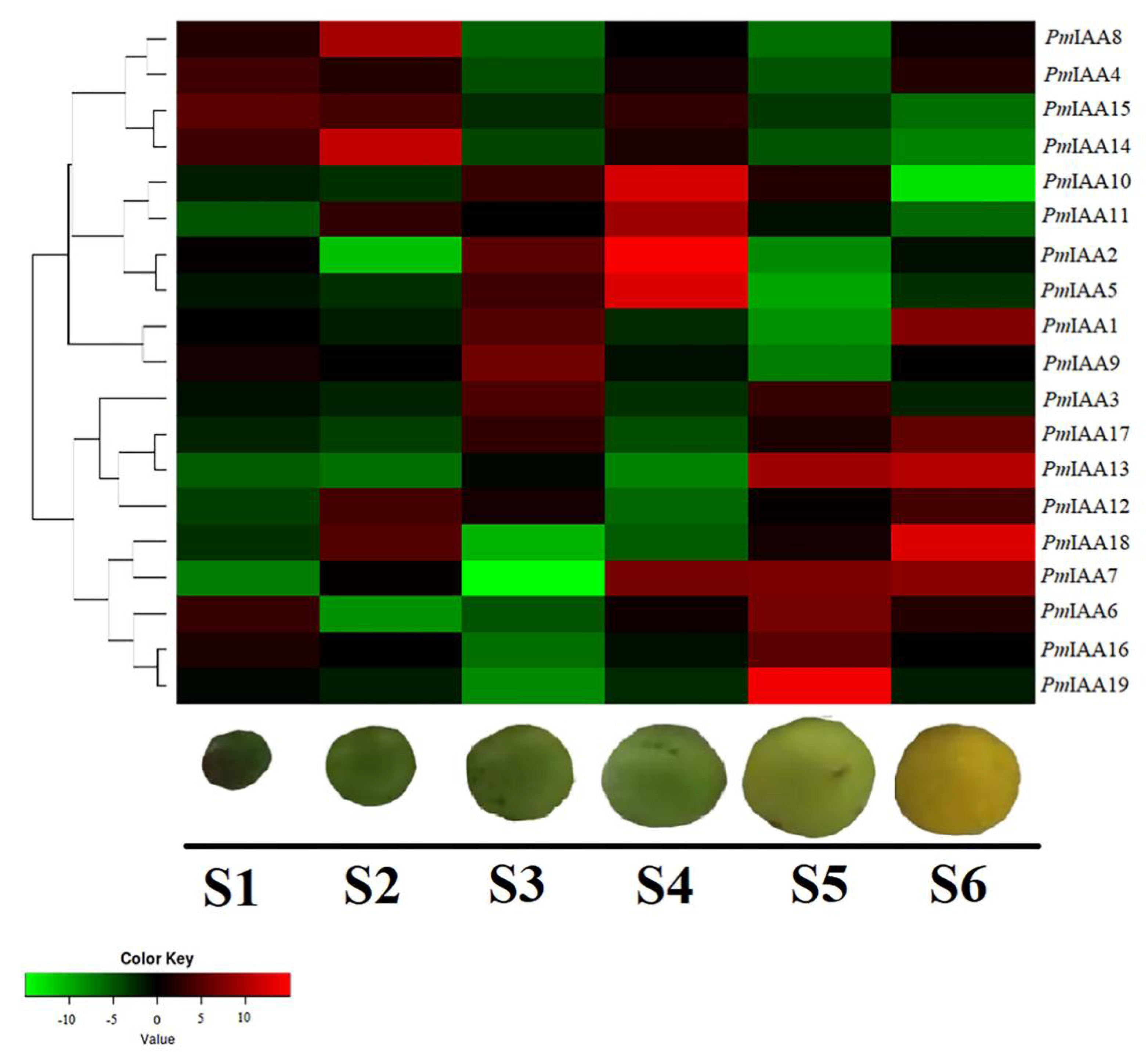 Plants 11 01898 g008