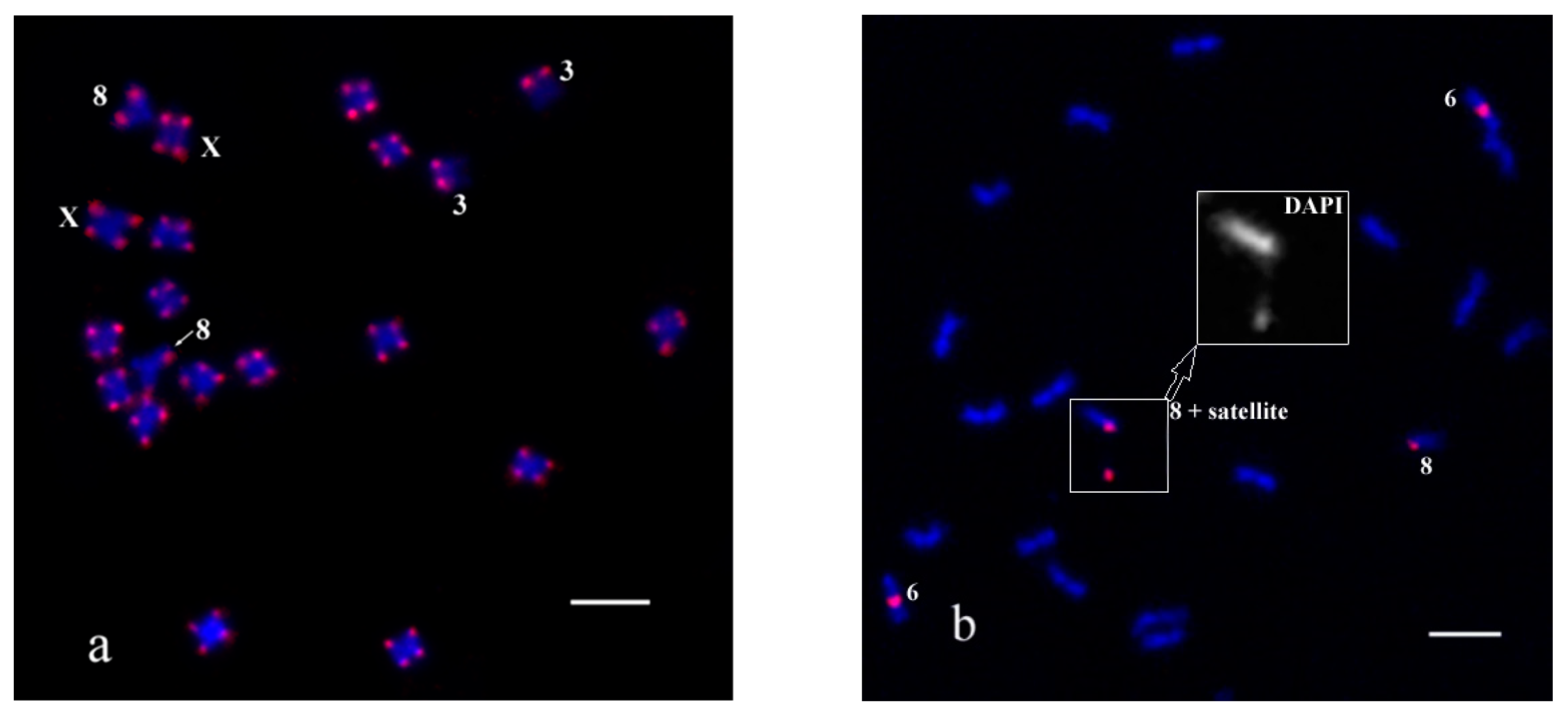 Plants 11 01900 g001