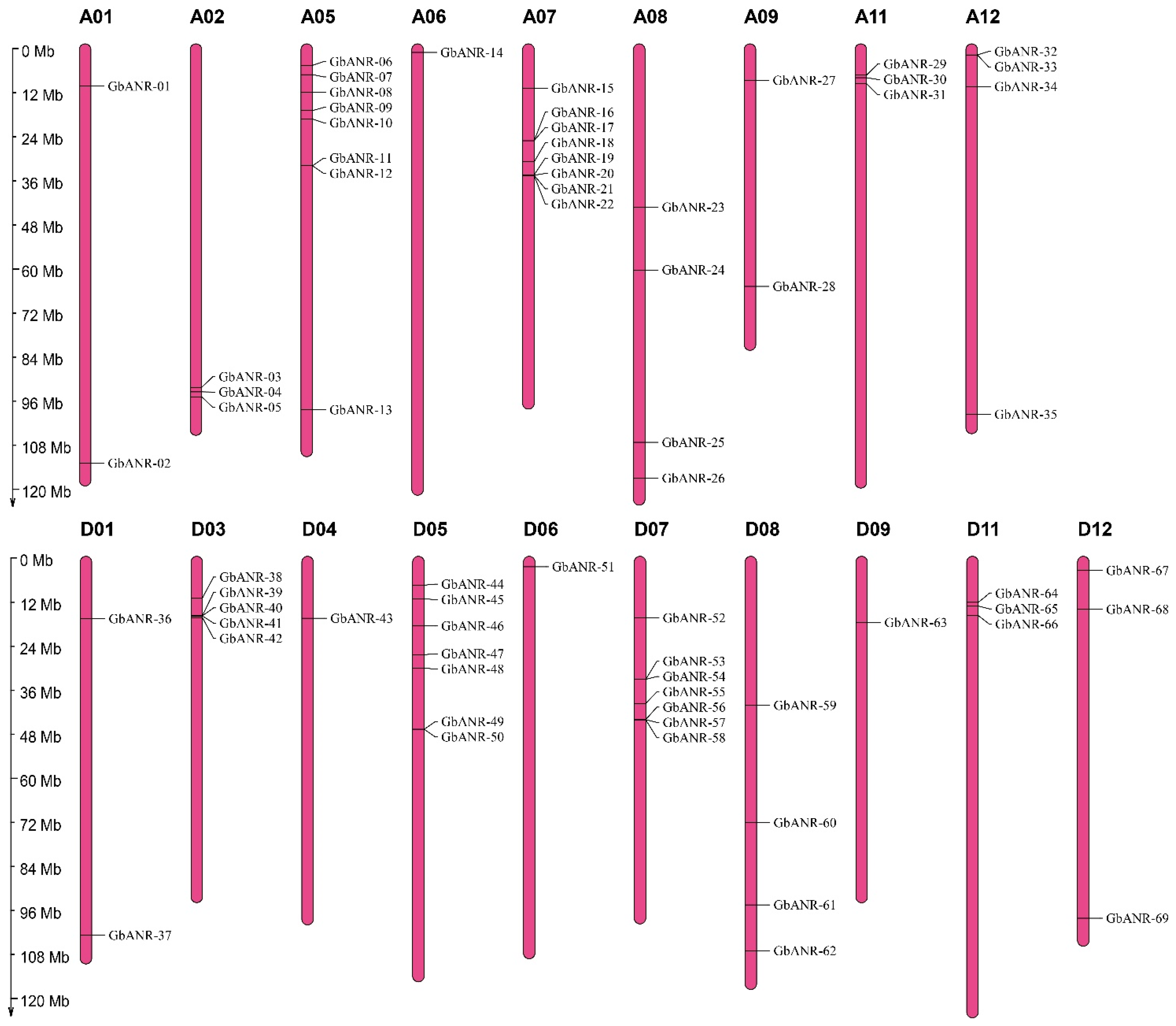 Plants 11 01902 g001 550