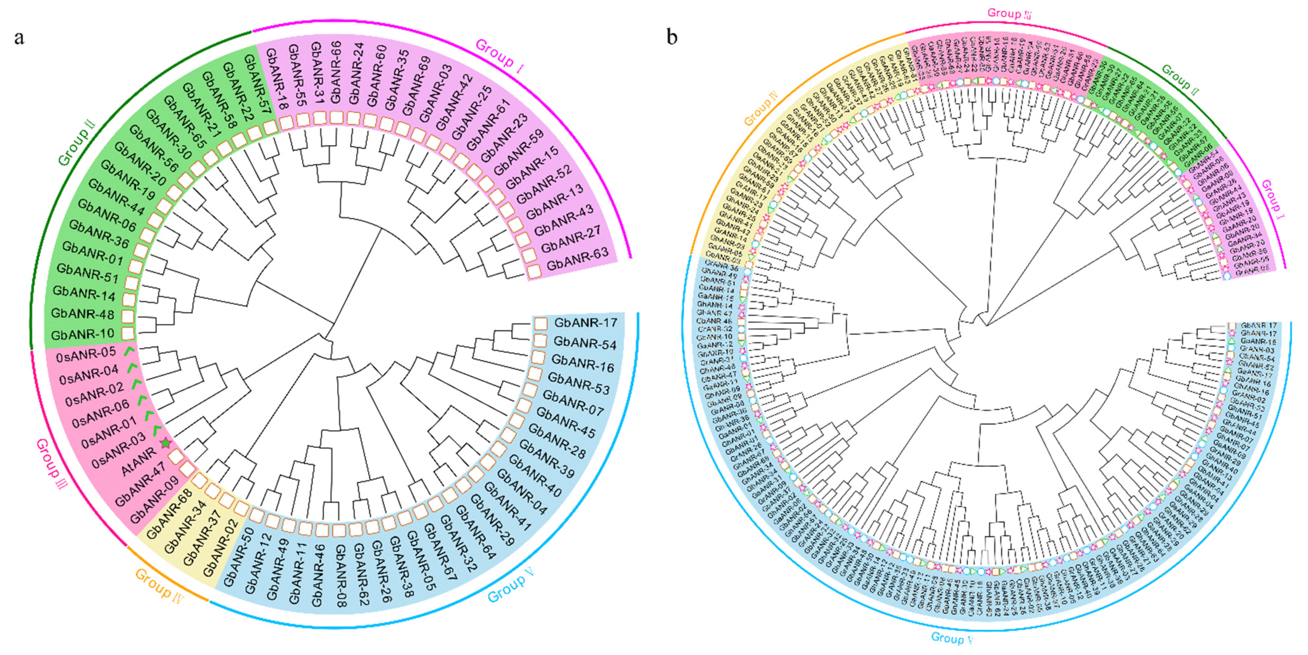 Plants 11 01902 g002 550