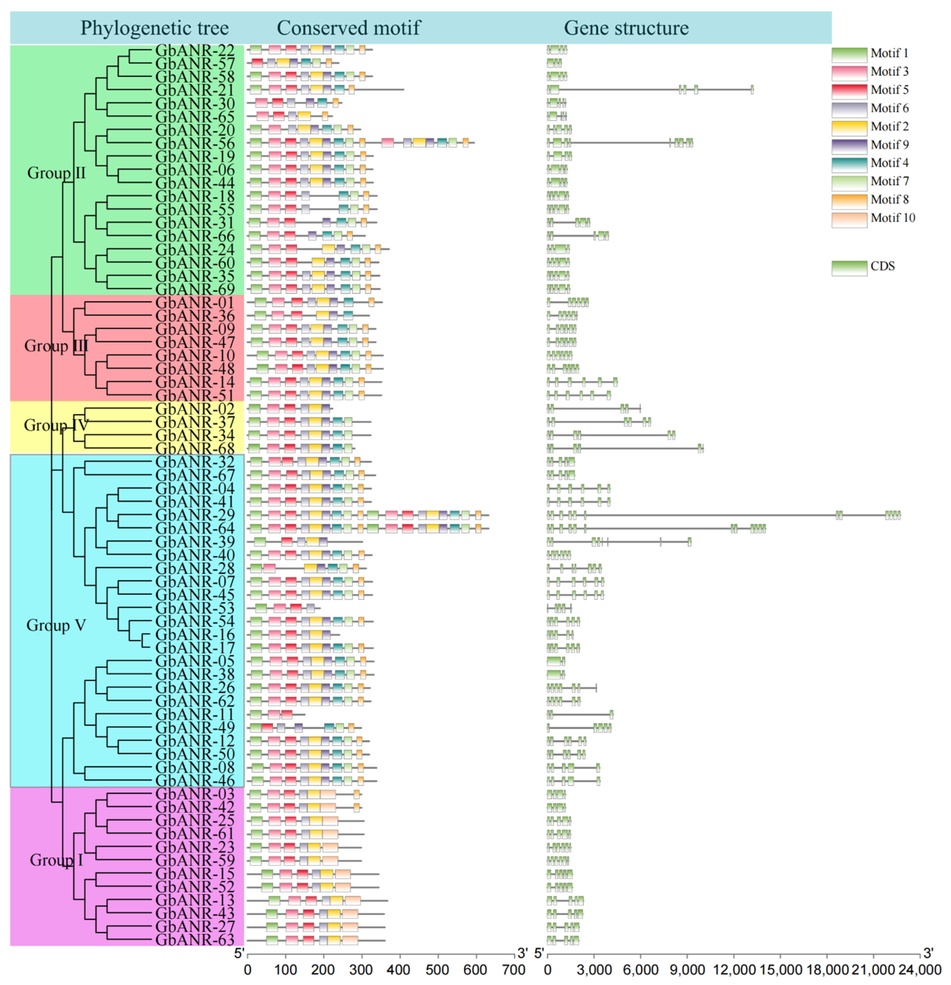 Plants 11 01902 g003 550