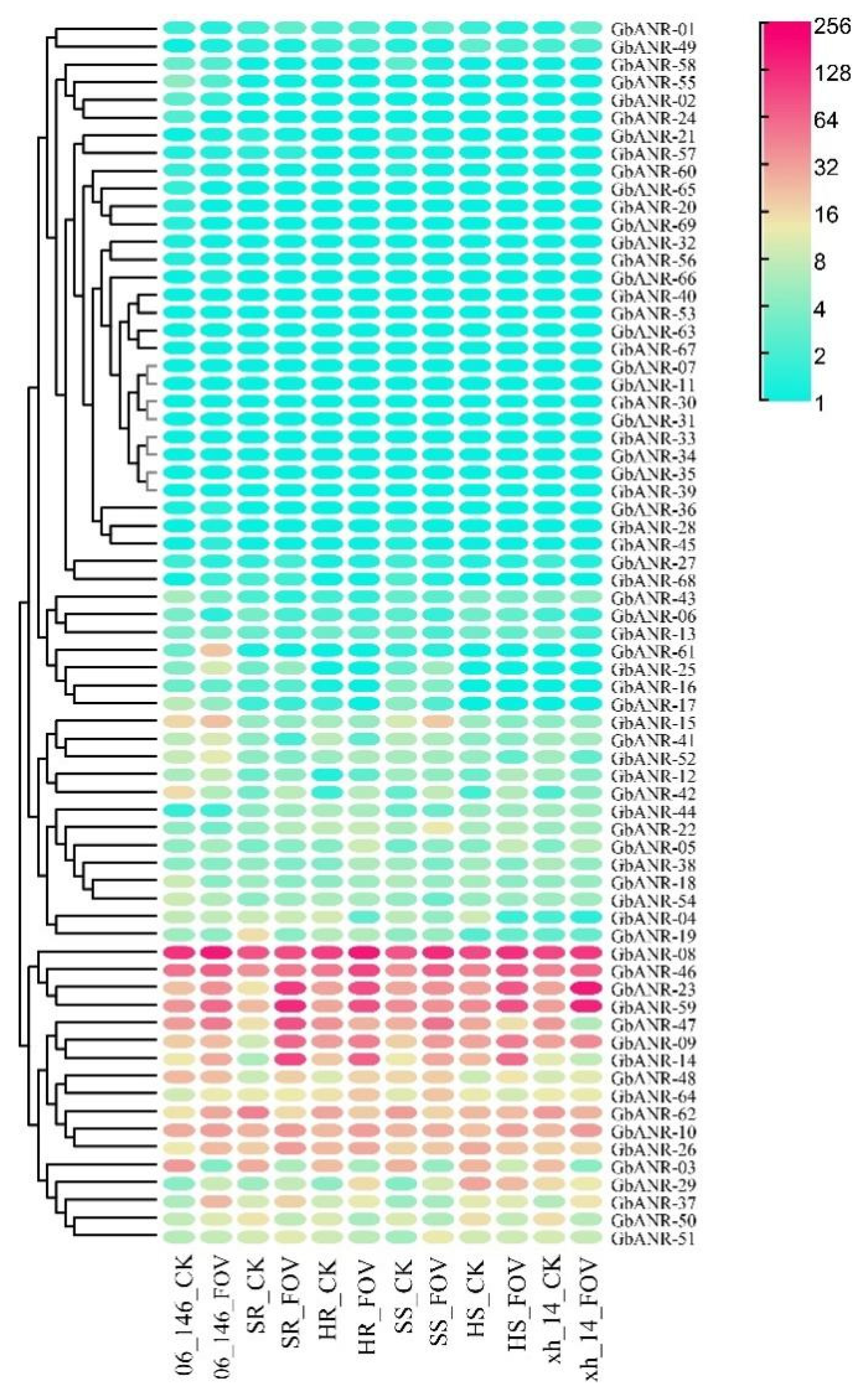 Plants 11 01902 g005 550