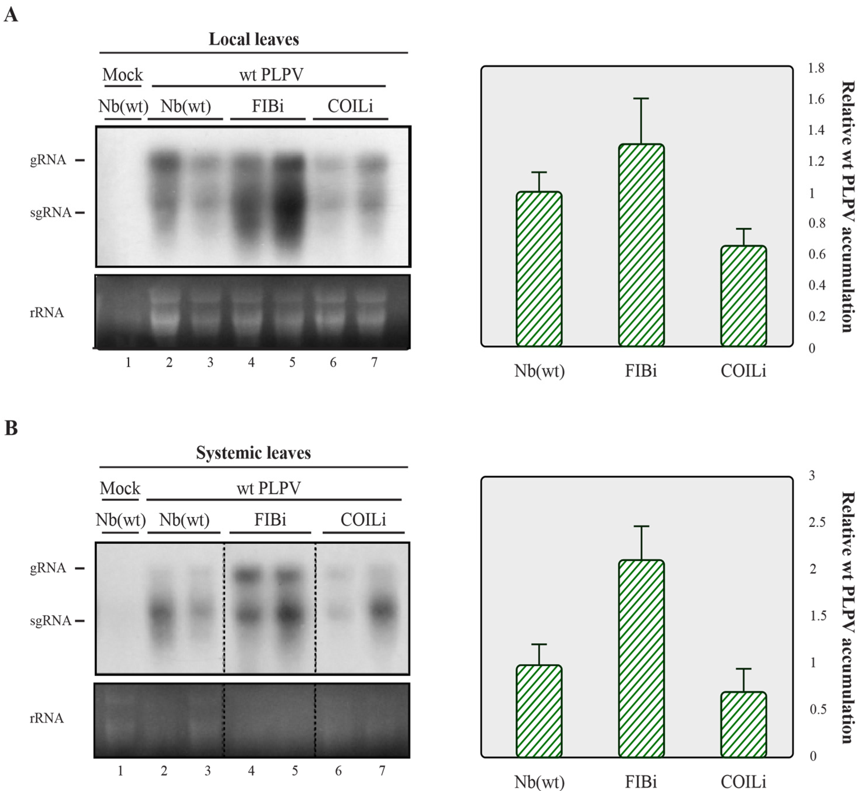 Plants 11 01903 g002