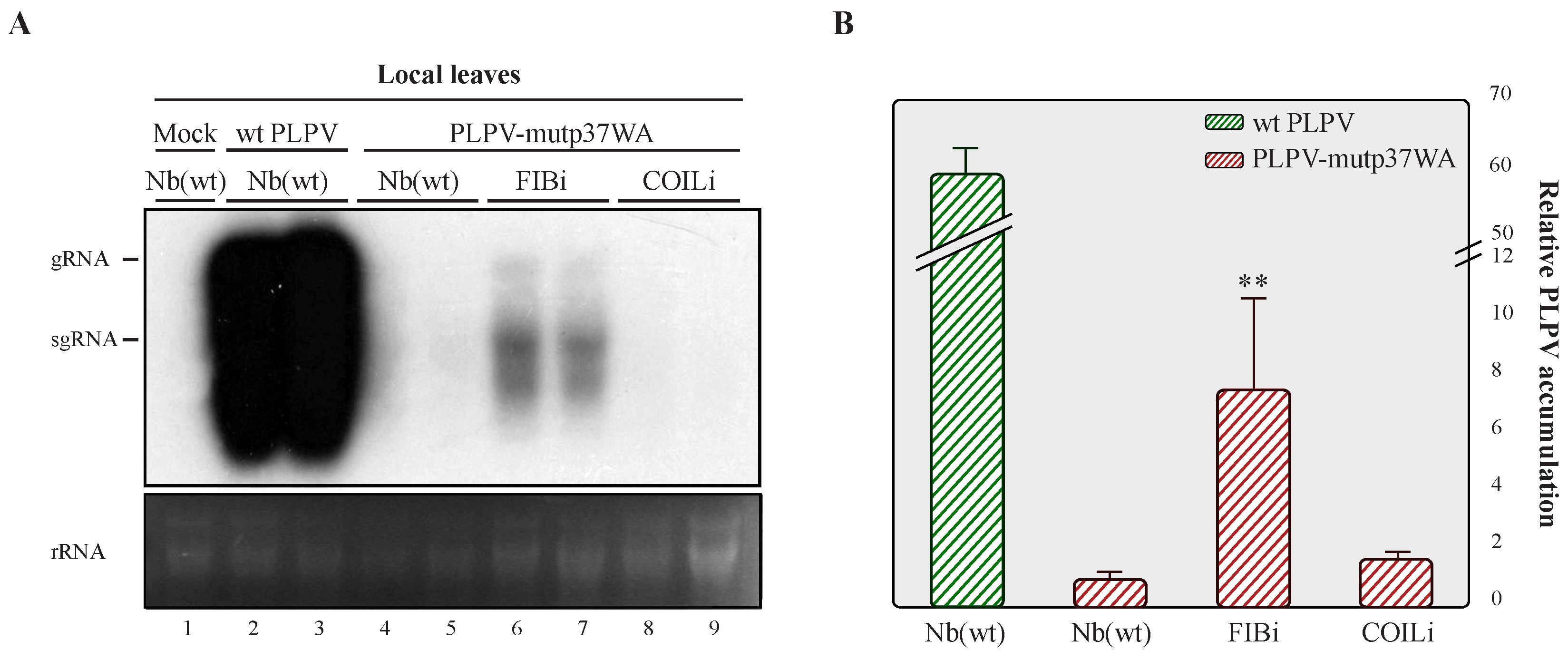 Plants 11 01903 g004