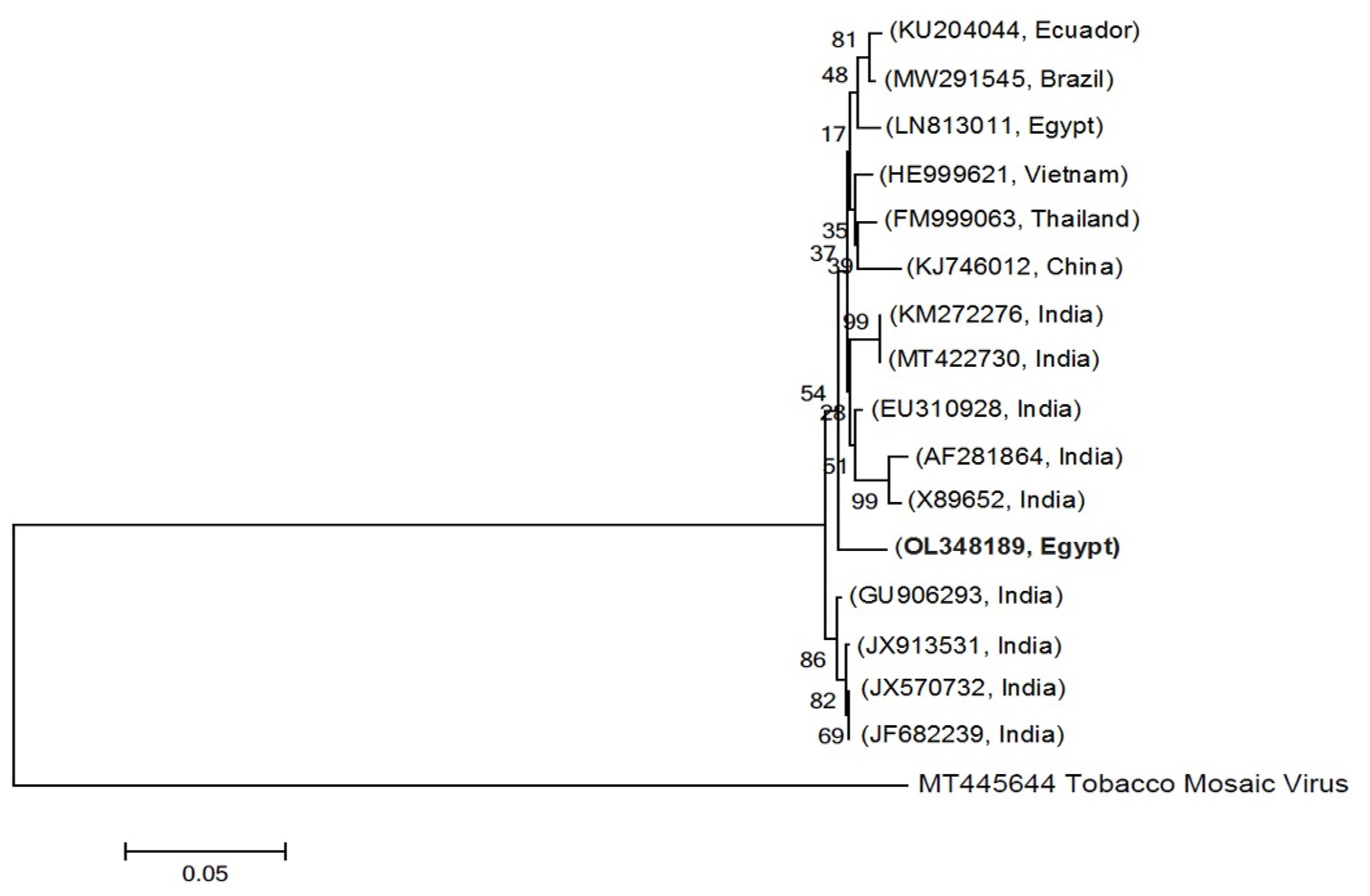 Plants 11 01908 g002 550