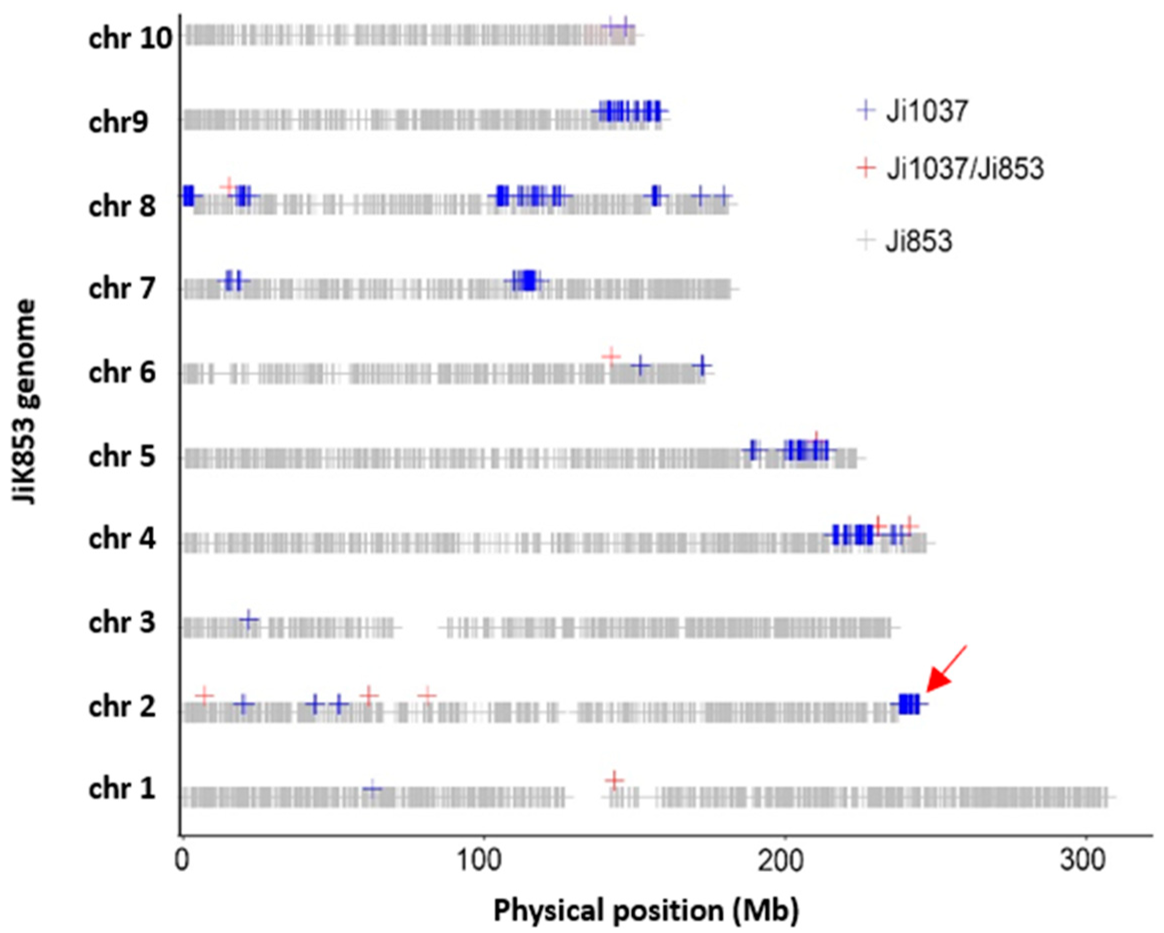 Plants 11 01909 g003