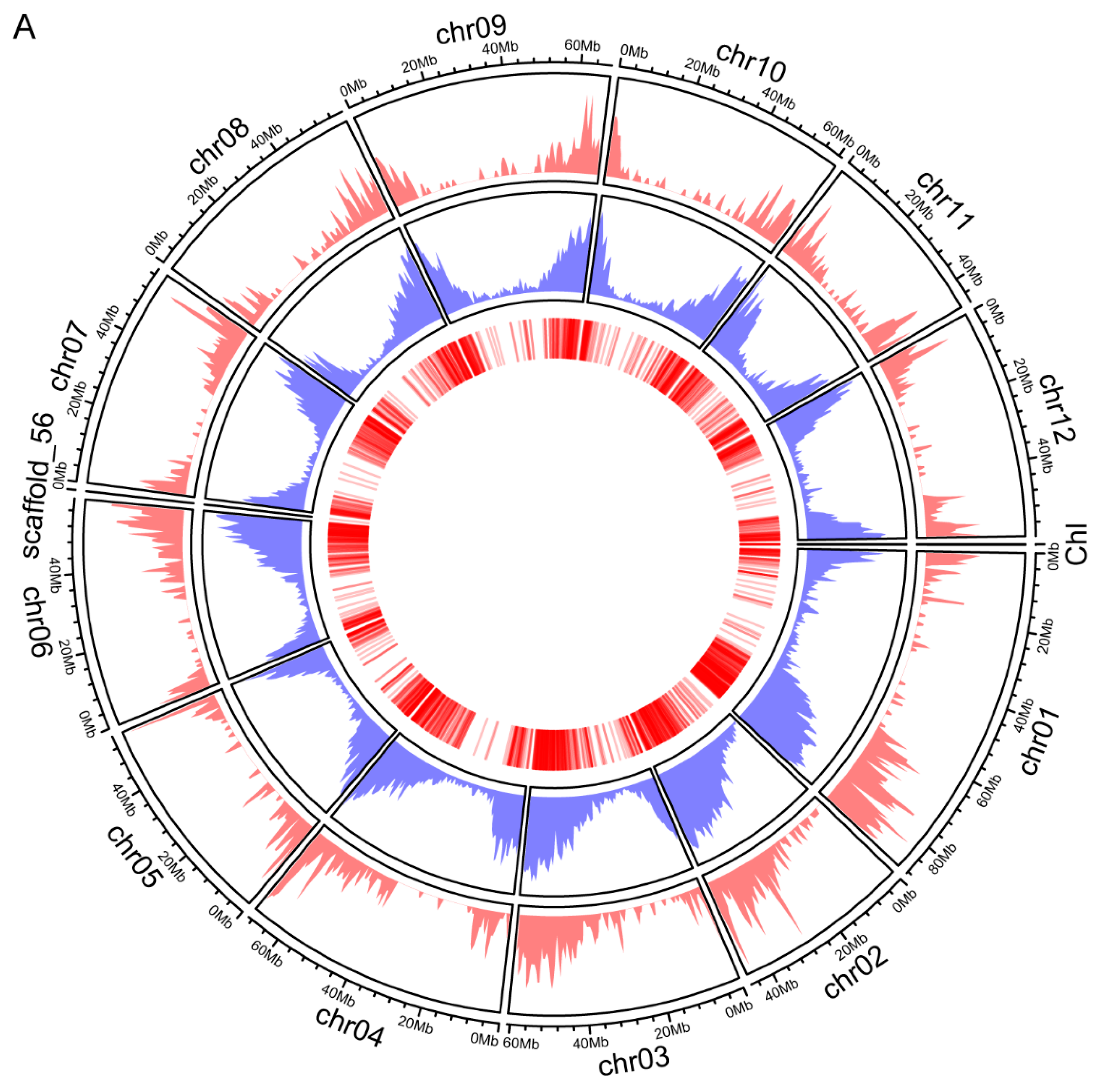 Plants 11 01915 g002a