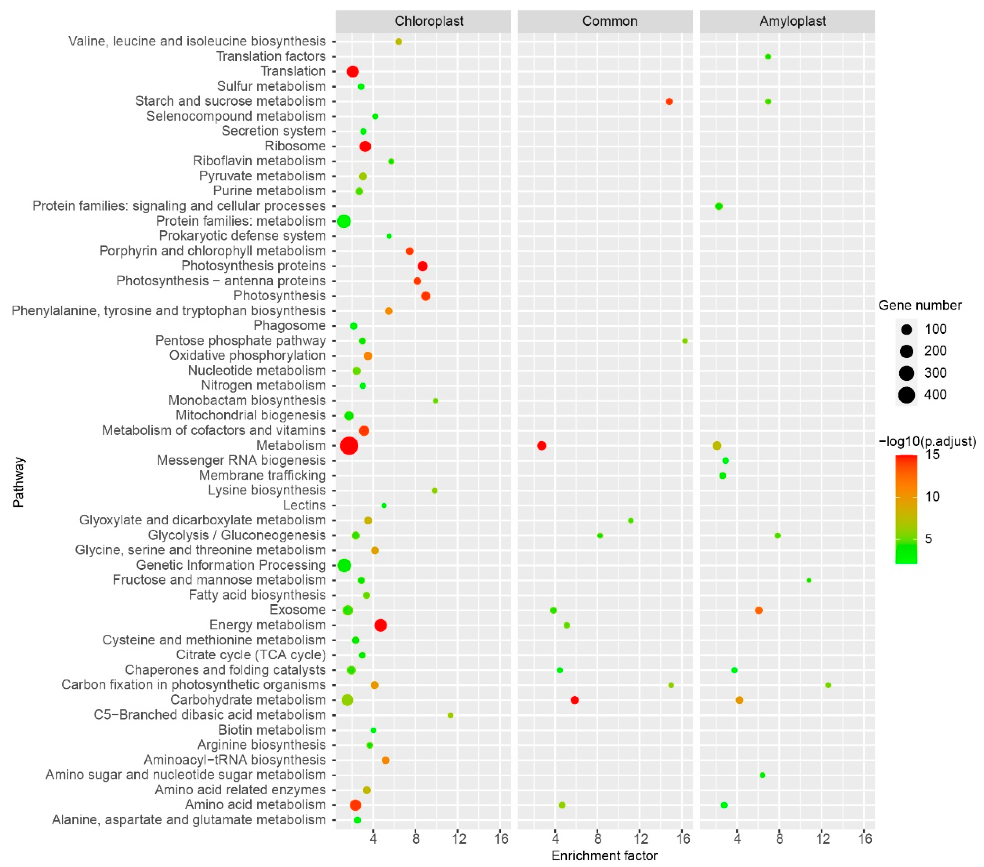 Plants 11 01915 g006