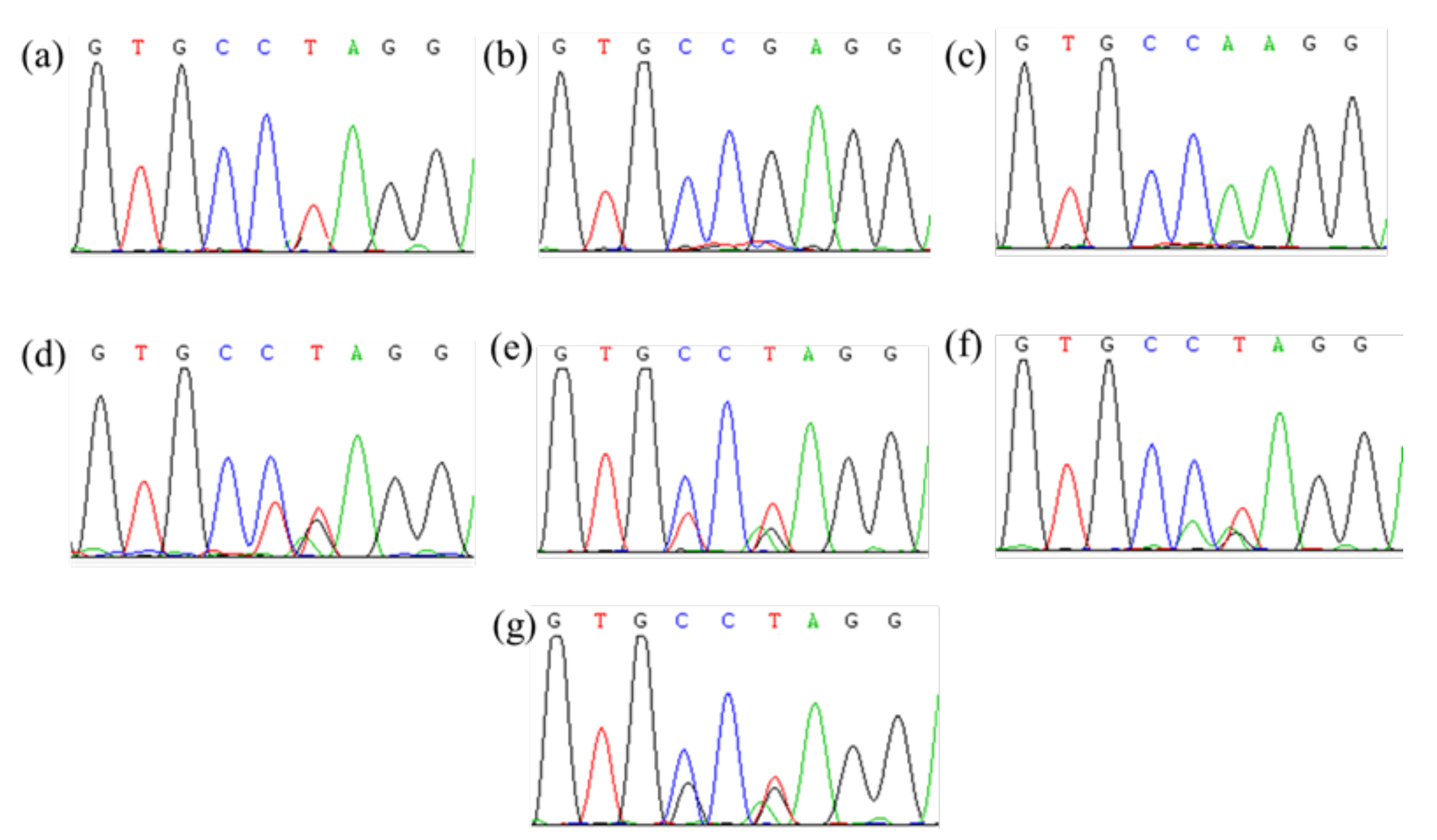 Plants 11 01926 g002 550