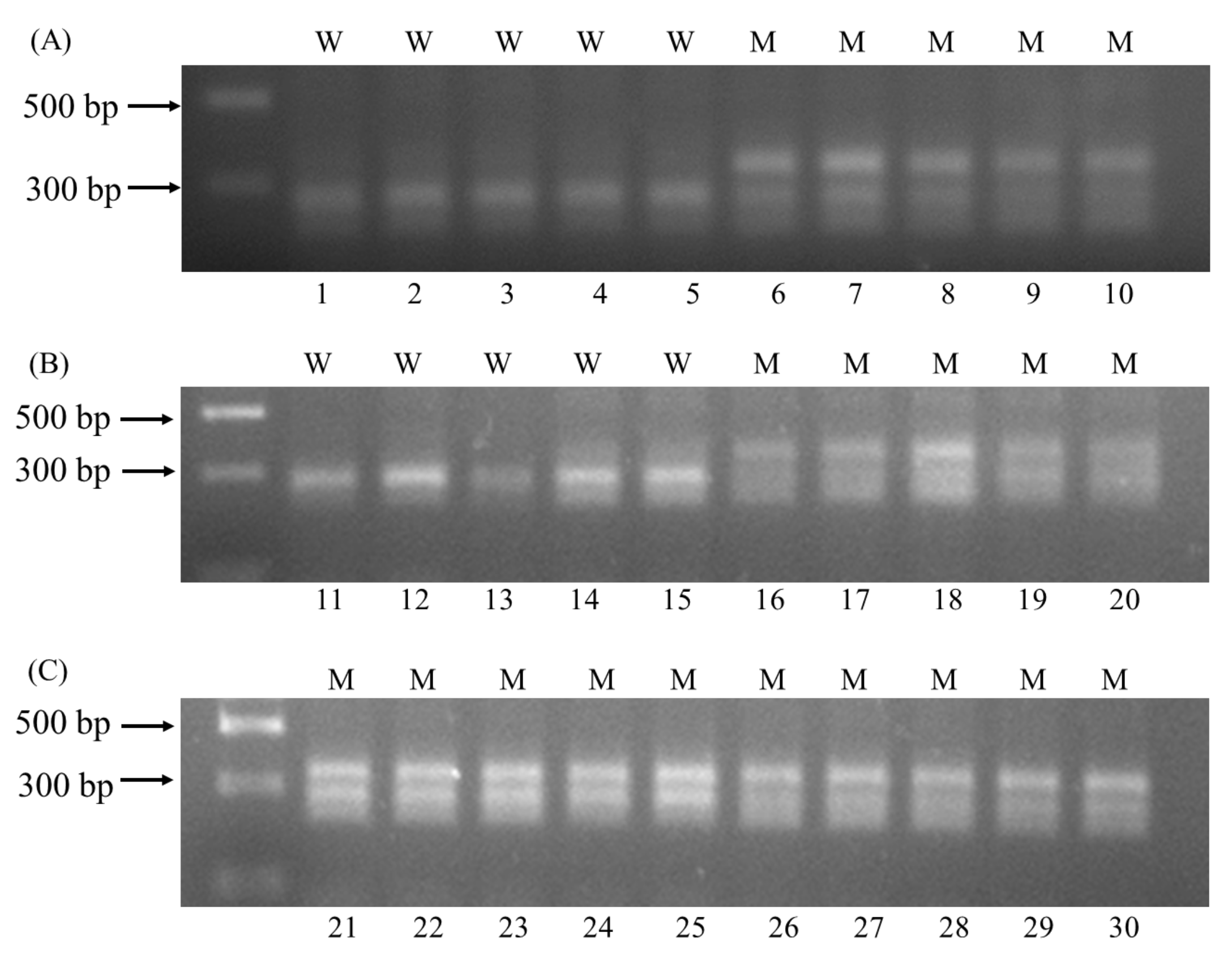 Plants 11 01926 g003 550