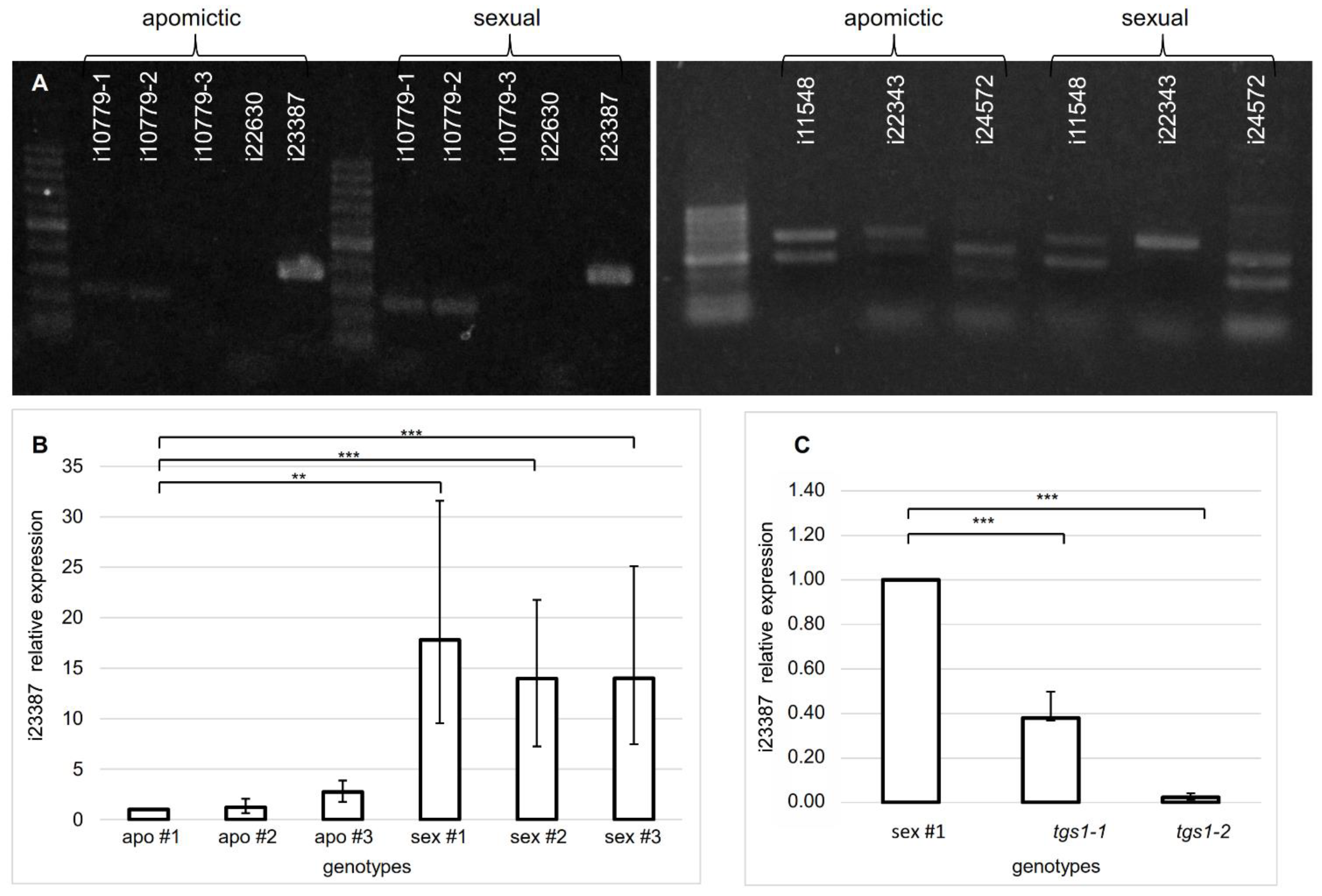 Plants 11 01929 g002 Plants 11 01929 g002