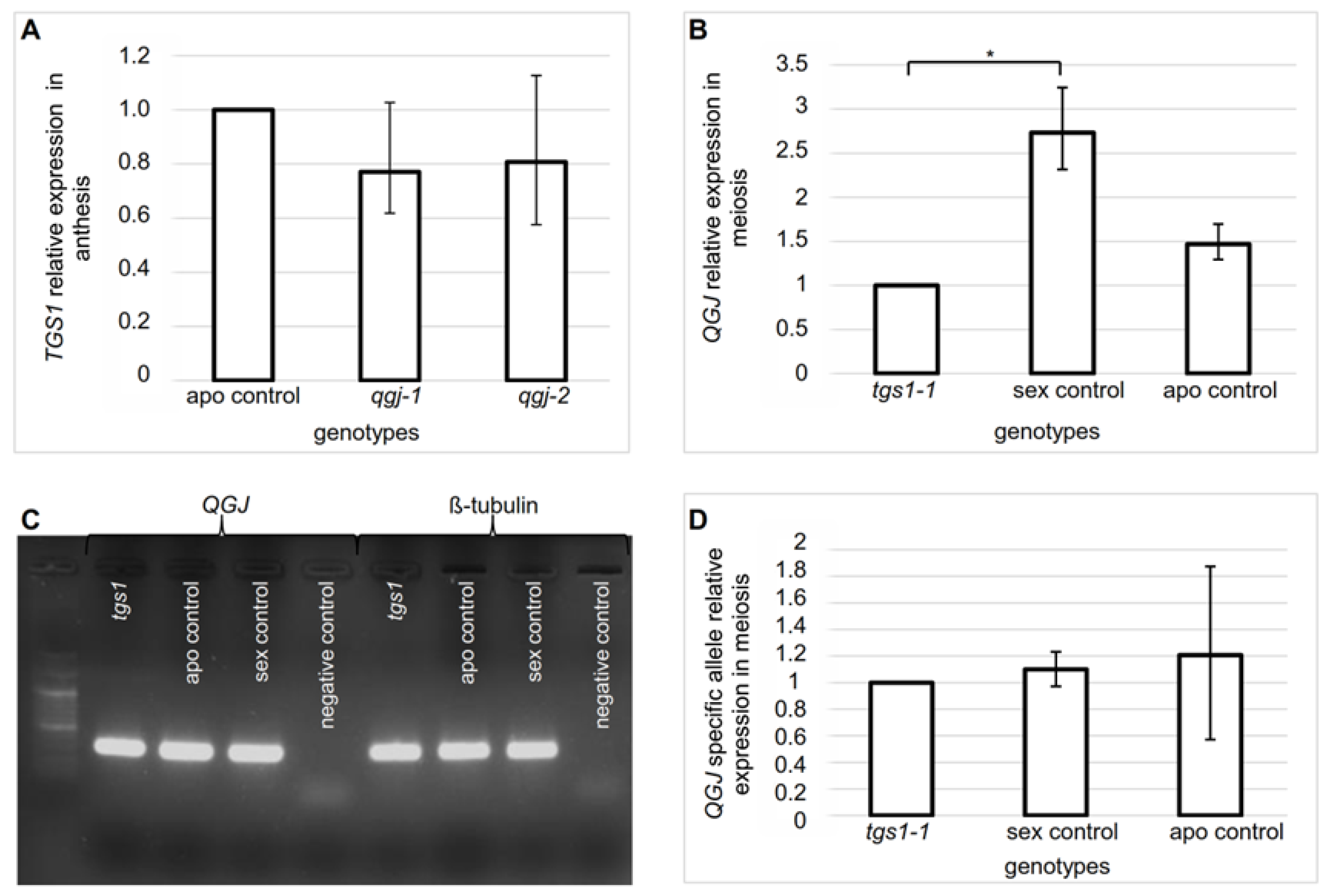 Plants 11 01929 g004 Plants 11 01929 g004