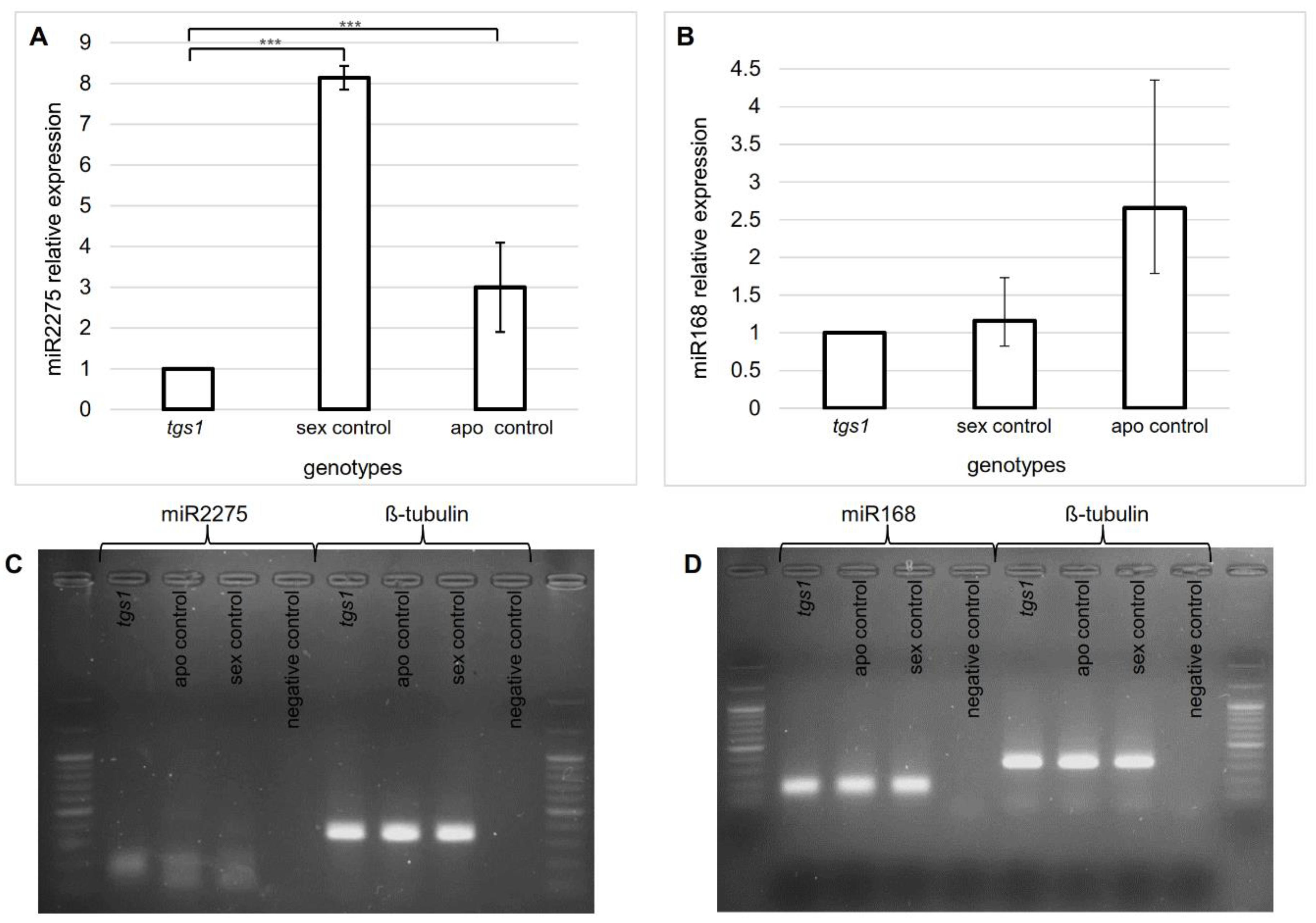 Plants 11 01929 g006 Plants 11 01929 g006