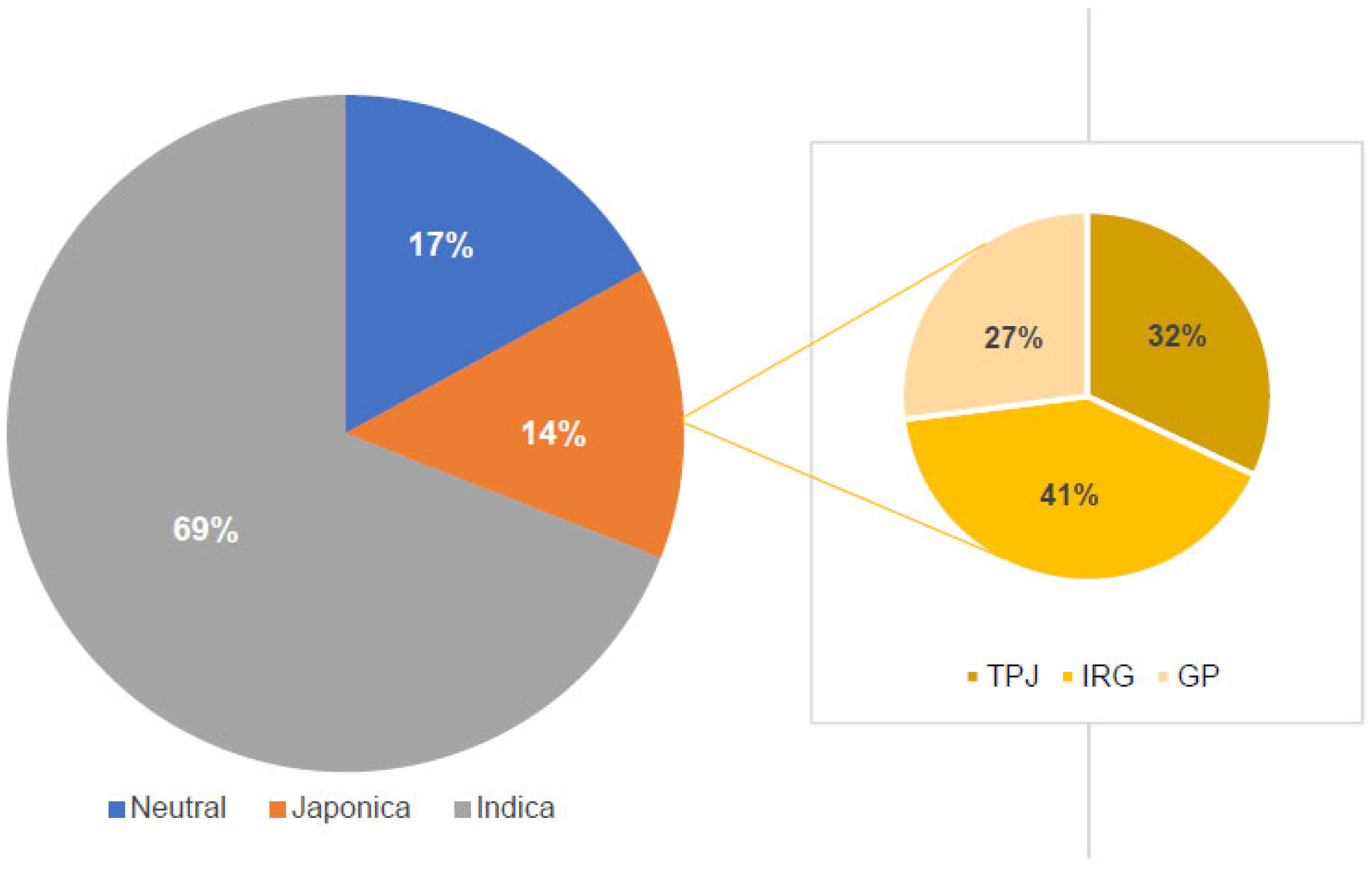 Plants 11 01930 g001