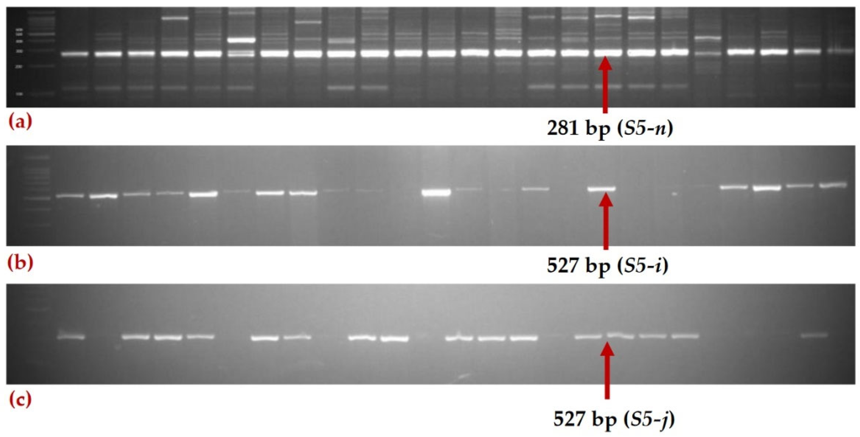Plants 11 01930 g002