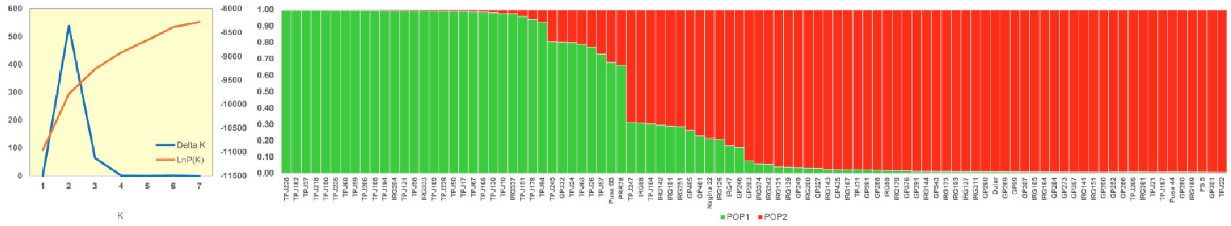 Plants 11 01930 g004