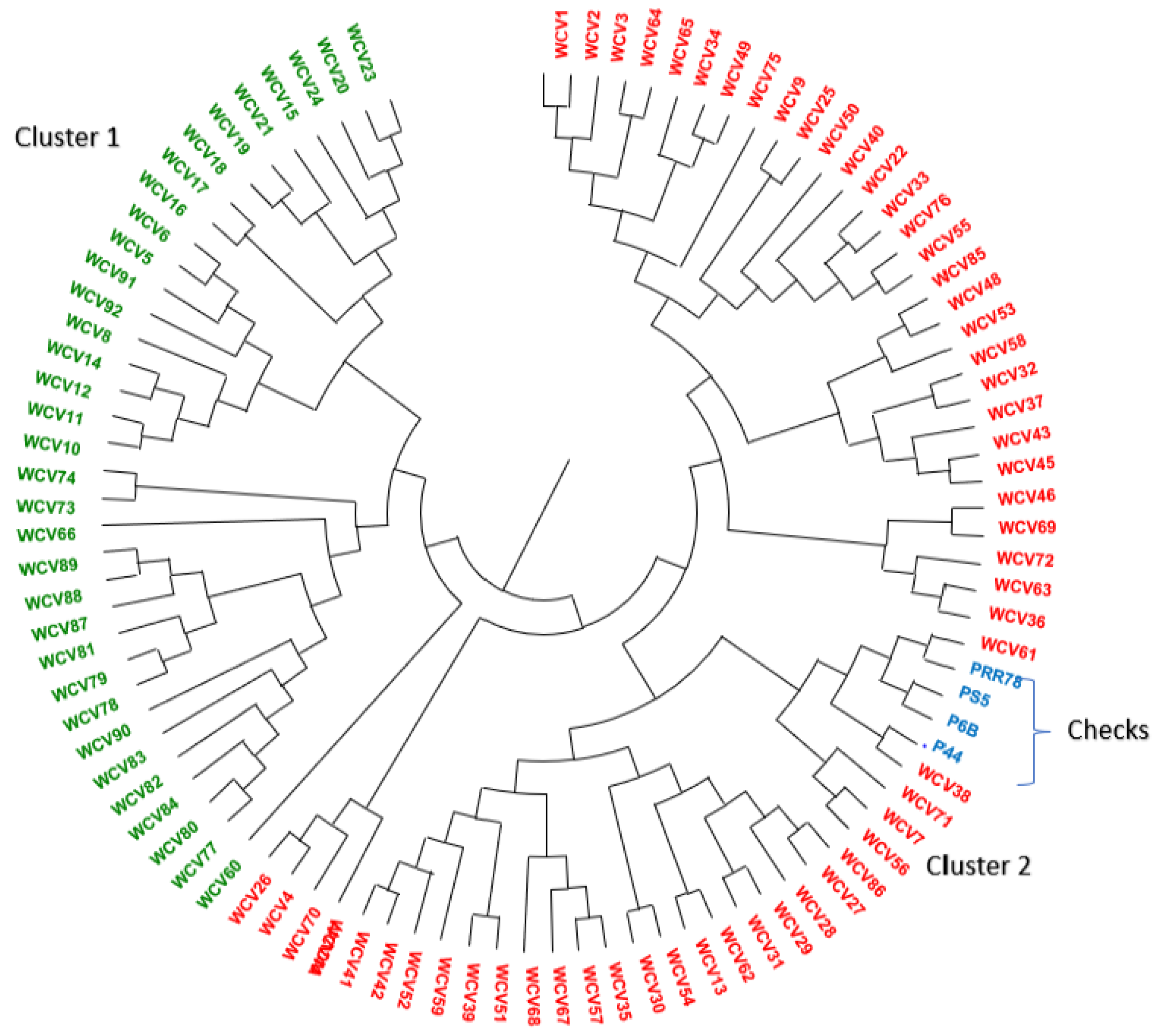 Plants 11 01930 g005