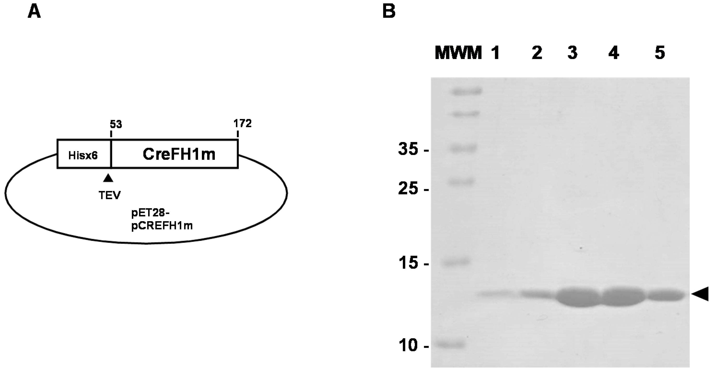 Plants 11 01931 g003
