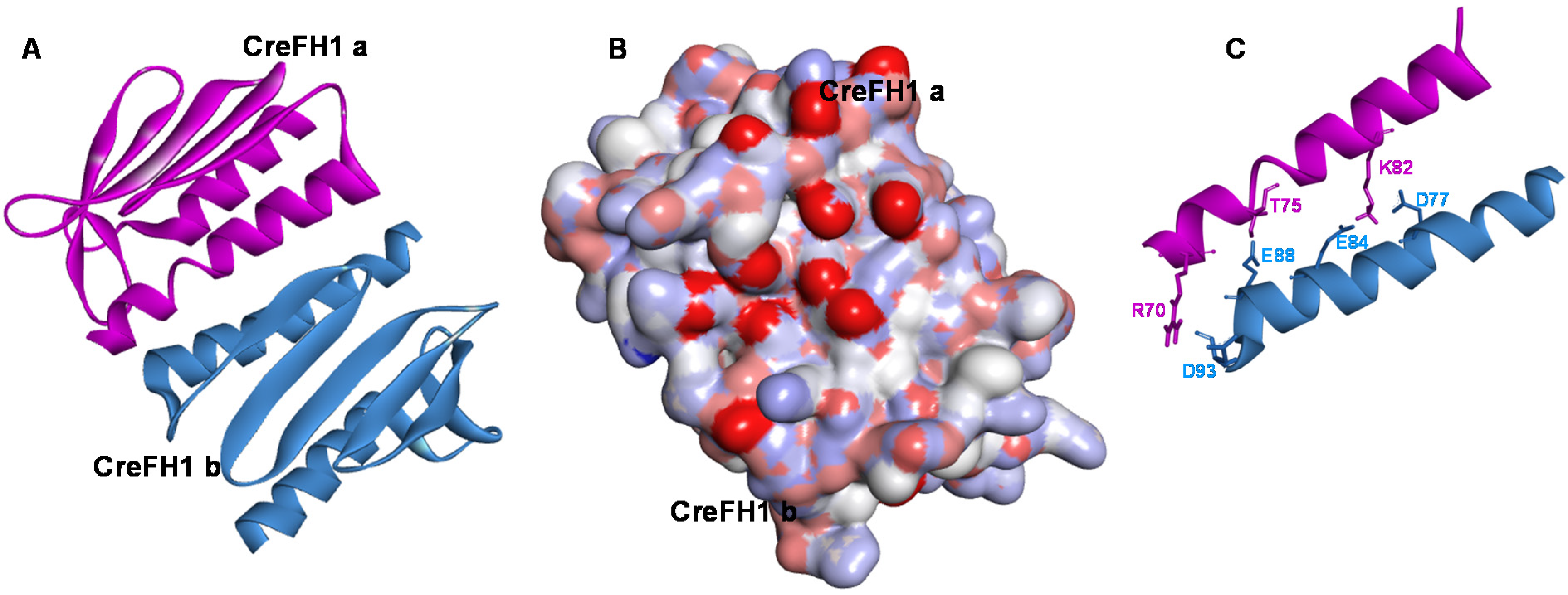 Plants 11 01931 g005